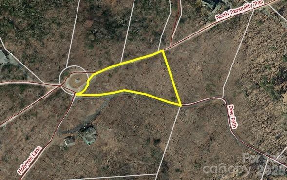 New Forest Mountain - Land