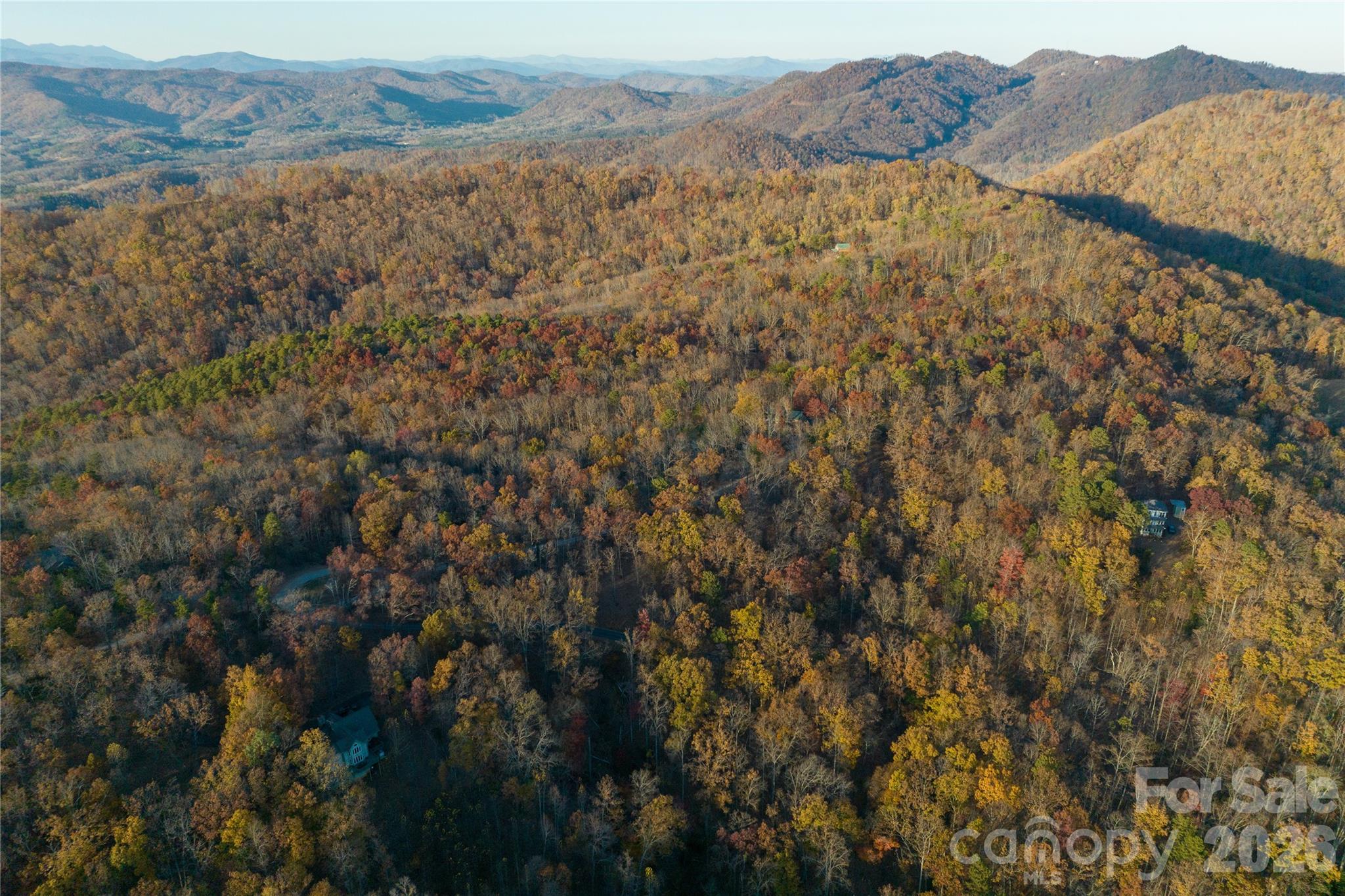 New Forest Mountain - Land