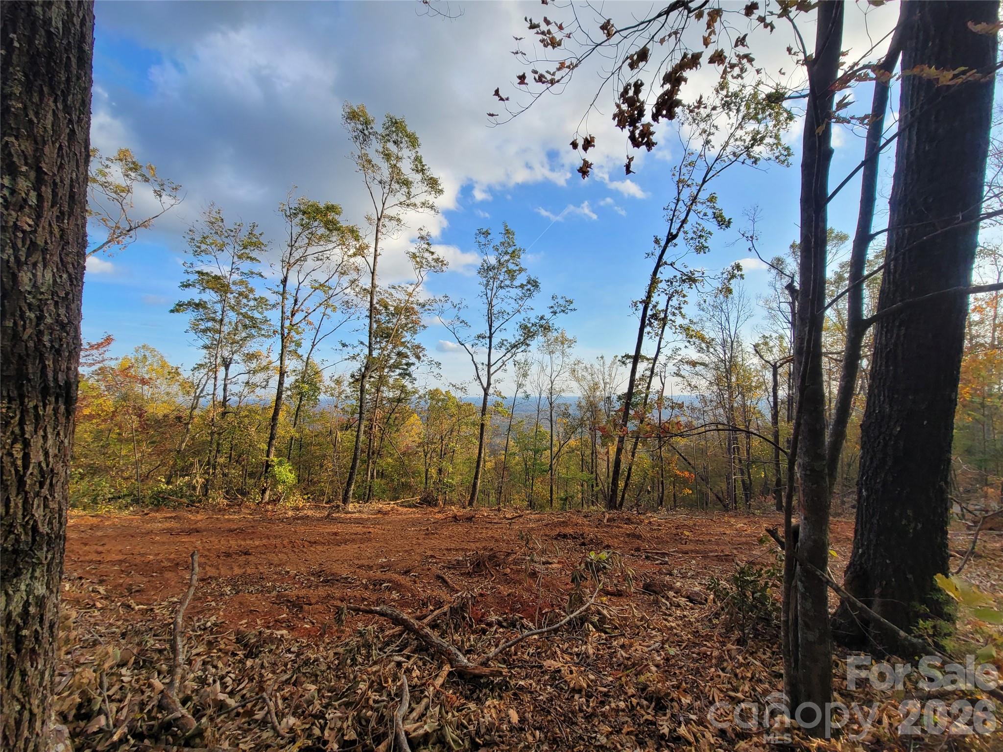 New Forest Mountain - Land