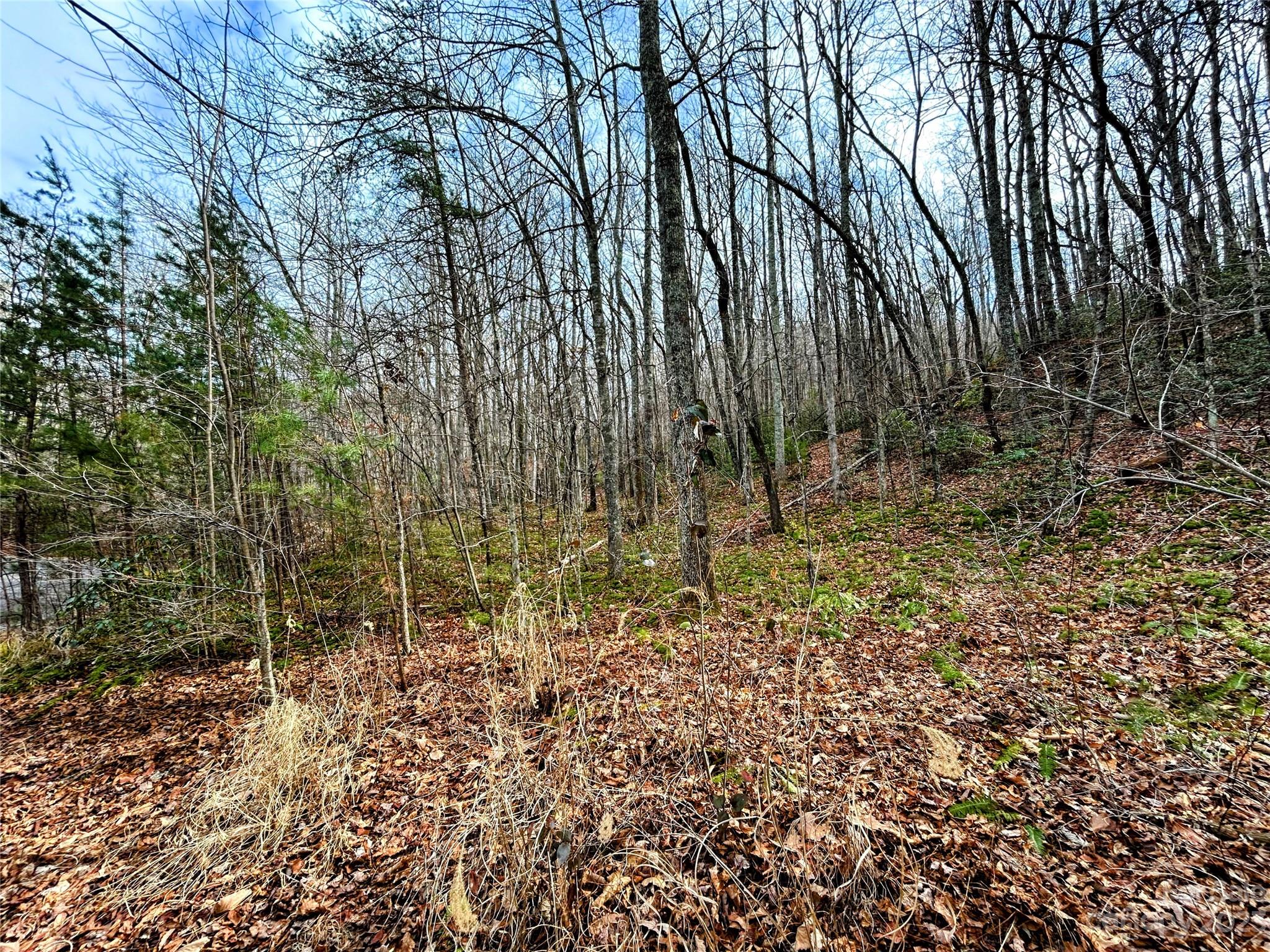 Little Warrior Mtn Estates - Land