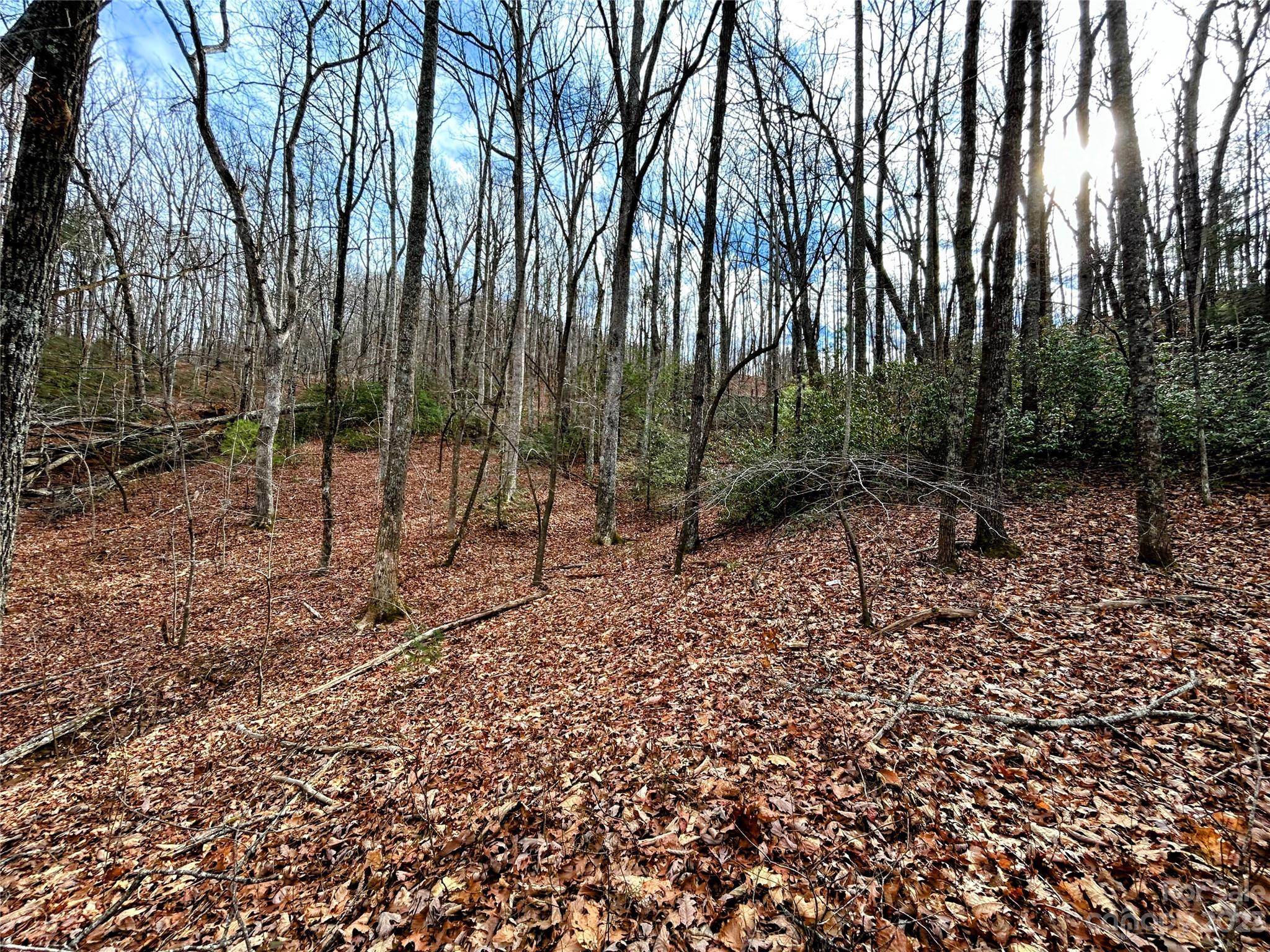 Little Warrior Mtn Estates - Land