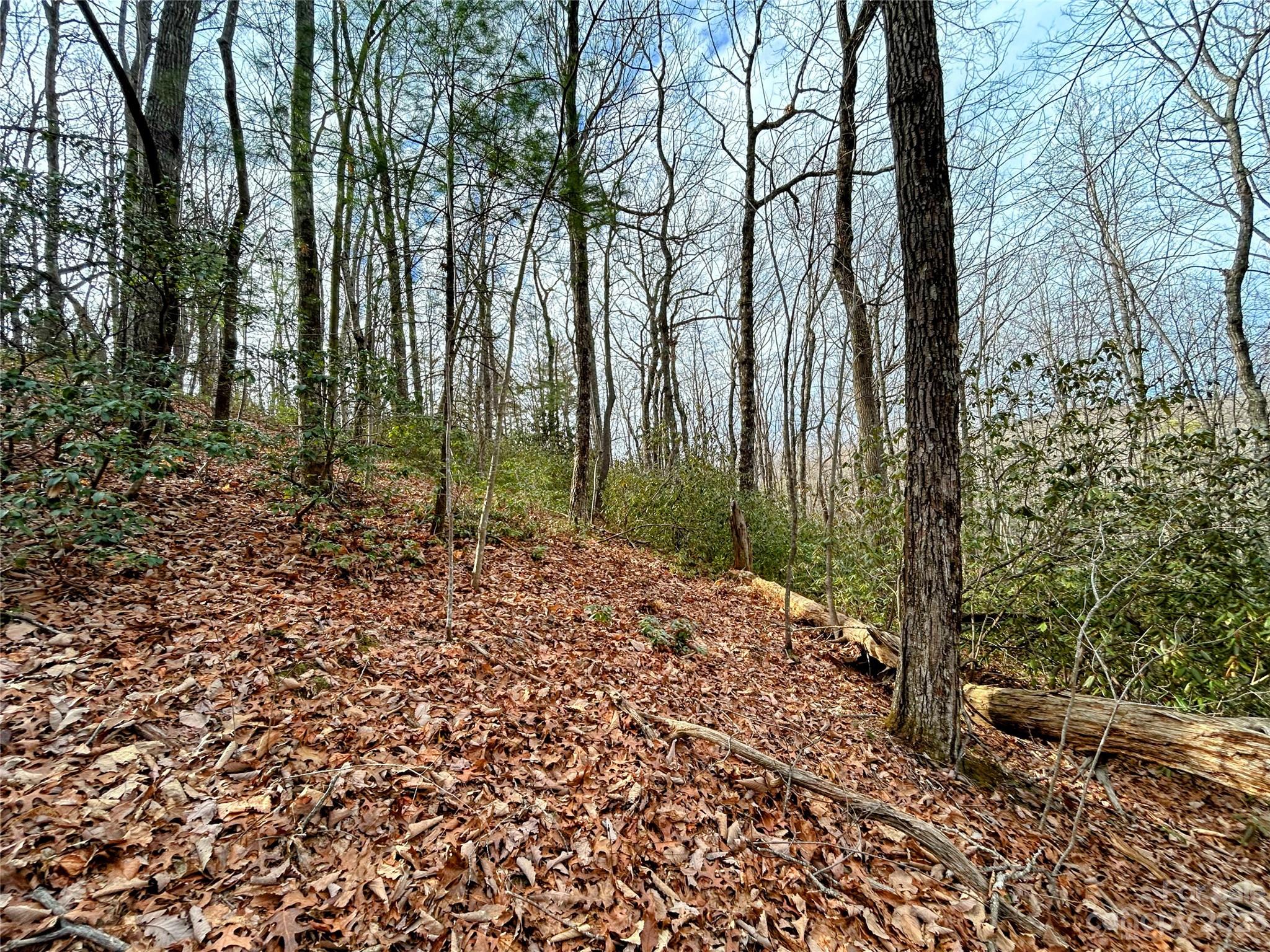 Little Warrior Mtn Estates - Land