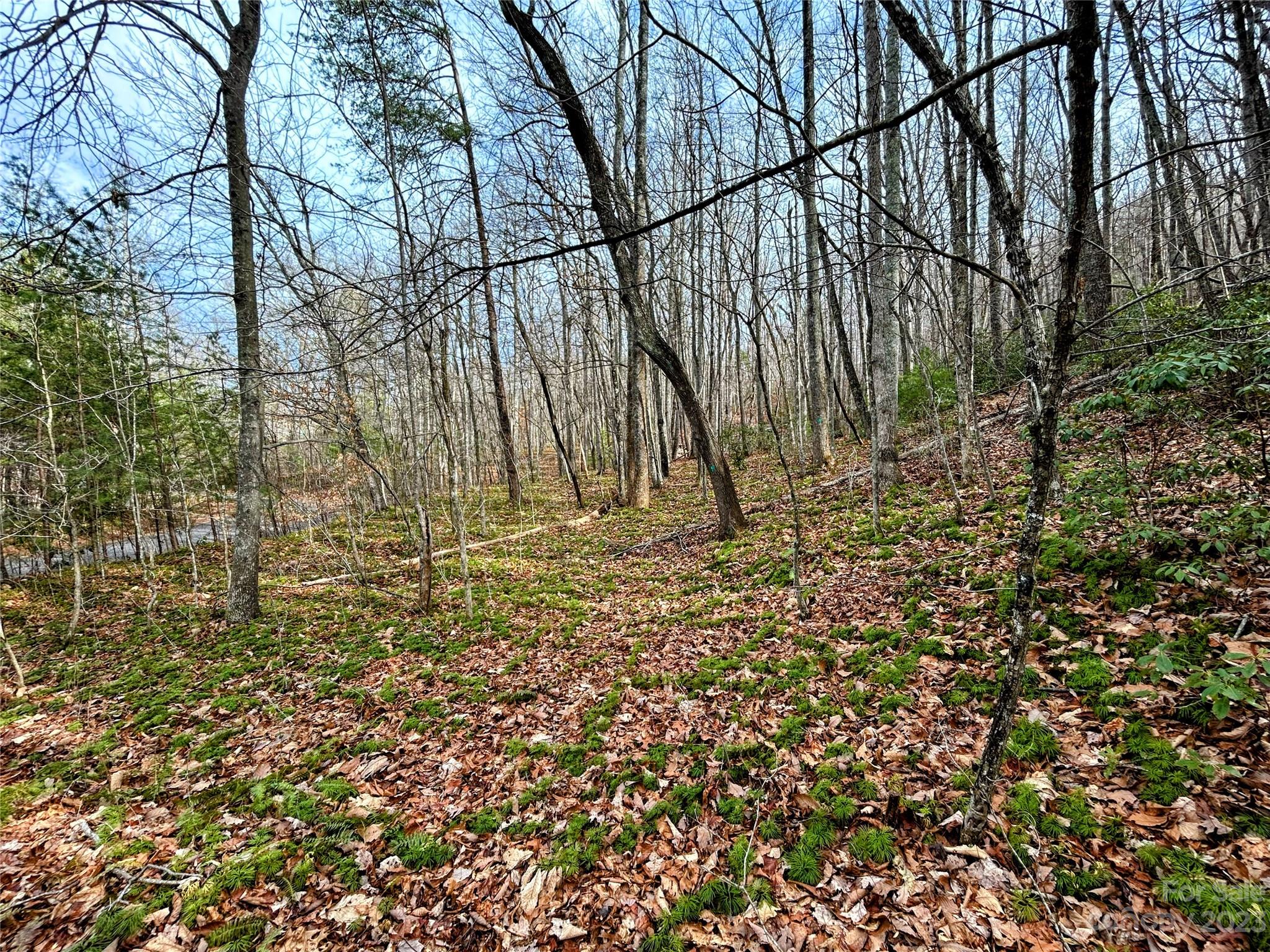 Welcome to Little Warrior Mountain Estates, where you will find generously sized lots, in a the tranquil setting you're looking for, with prices sure to please.  Lots start in the $30's and each lot is priced with great value for the discerning buyer.  Lot 7 has a gentle slope that might work perfectly for a build with a daylight basement and is adjacent to the community pond which completes the serene setting.  Less than 5 miles to downtown Saluda and roughly 15 miles back to downtown Hendersonville, this development provides all the peace and quiet for building that mountain retreat, yet possesses easy access to all the charms of Main St in the mountains.