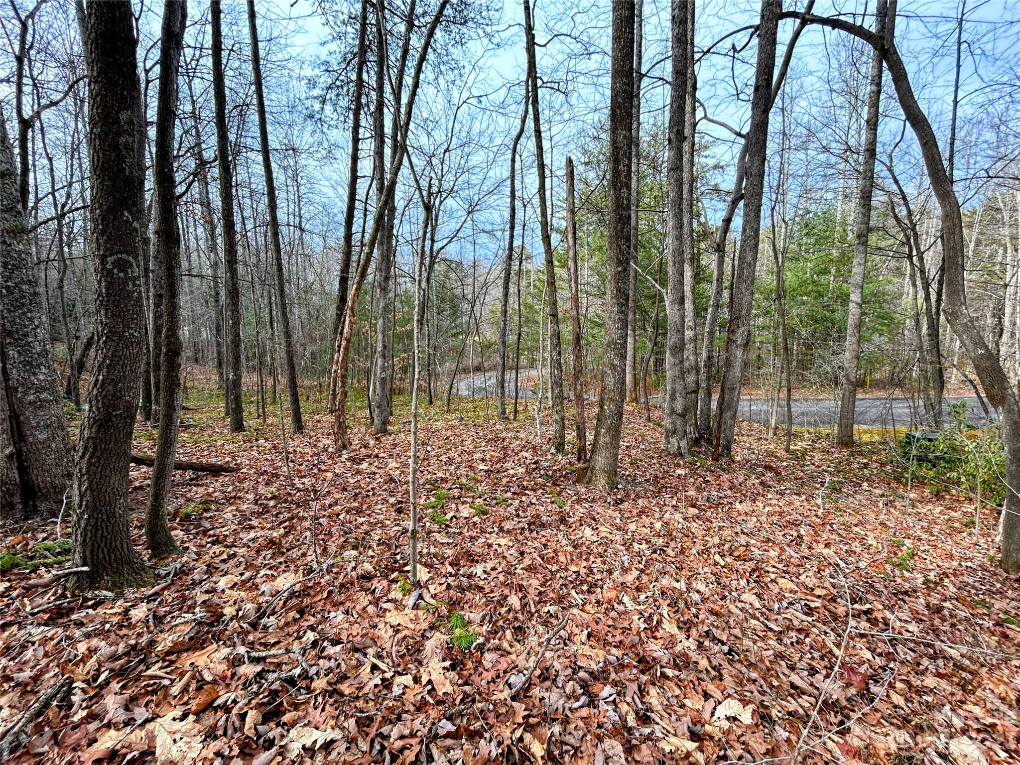 Little Warrior Mtn Estates - Land