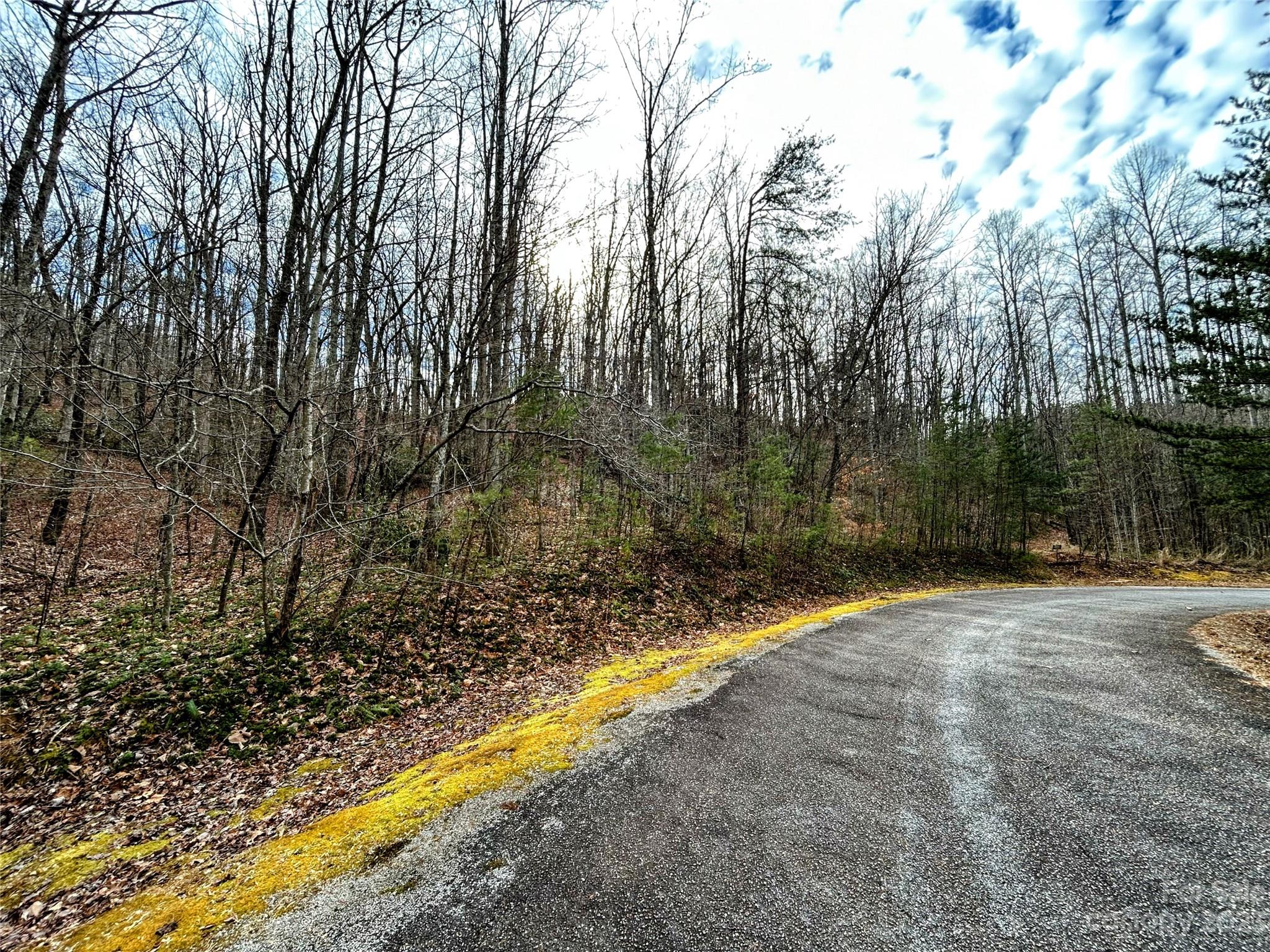 Little Warrior Mtn Estates - Land