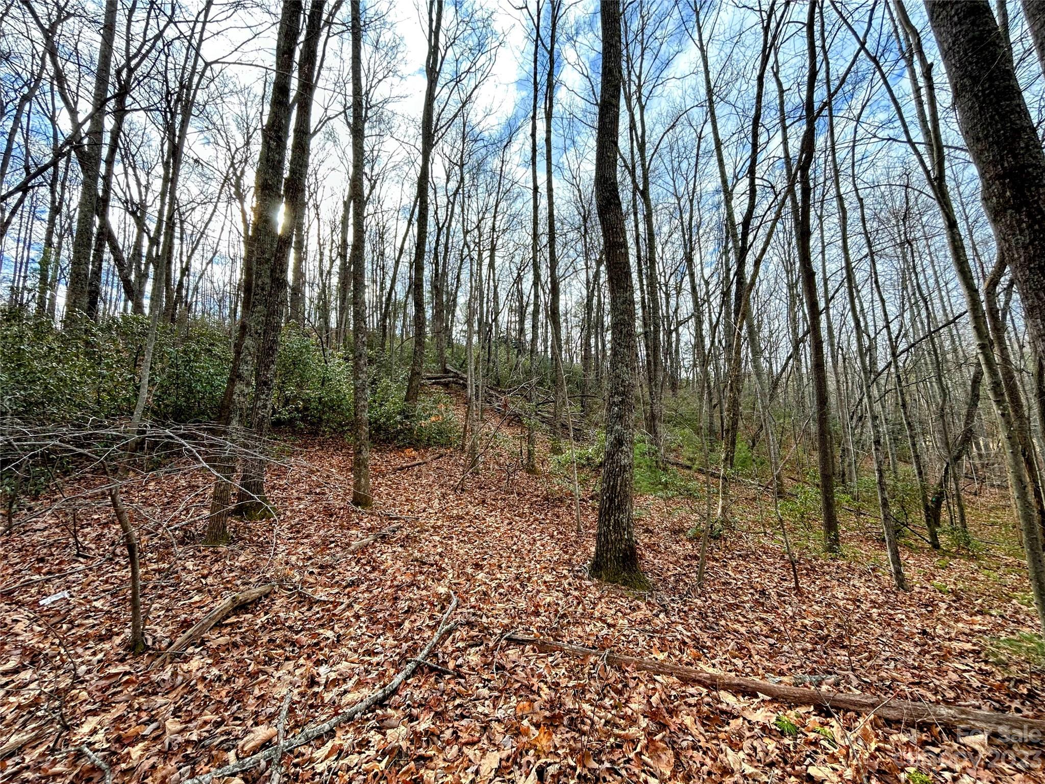 Little Warrior Mtn Estates - Land