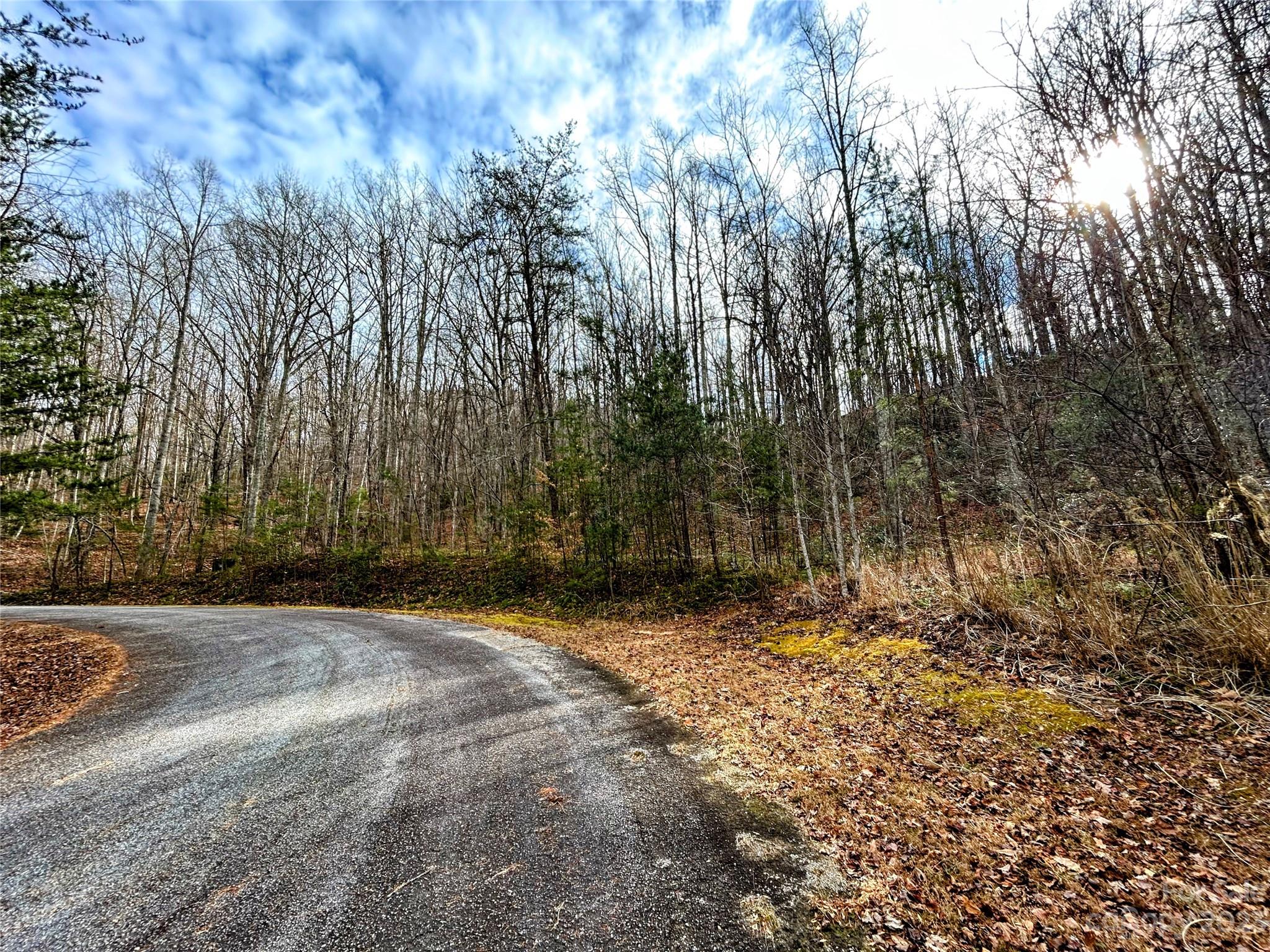 Little Warrior Mtn Estates - Land