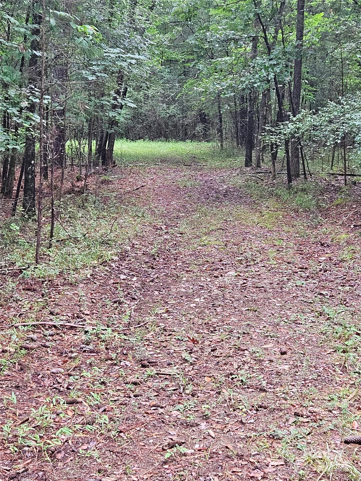 This remarkable 16-acre wooded lot is nestled in a picturesque countryside setting, providing the ideal canvas to design your dream home. The town of Rock Hill is just a short 20 minute drive, providing you with ample shopping, dining, and entertainment options, and is also conveniently close to Interstate 77. Don't let this one slip away! Come see this property today and let your imagination run wild with possibilities!
**Note: total property size is 26.22-acres, but owner is only selling a 16-acre portion of the property.**