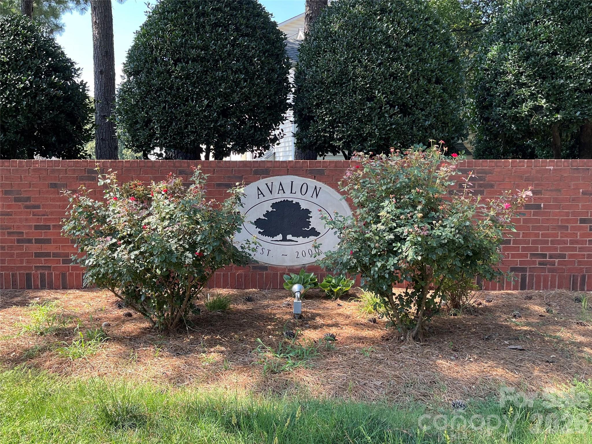 Avalon at Mallard Creek - Residential