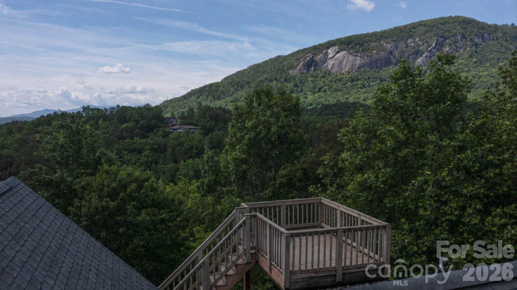 Rumbling Bald on Lake Lure - Residential