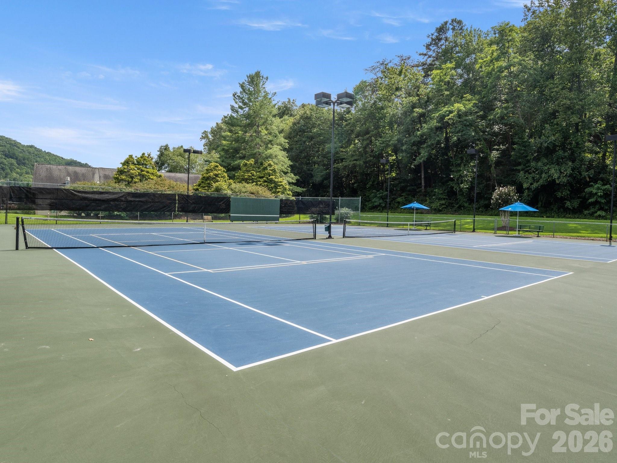 Rumbling Bald on Lake Lure - Residential