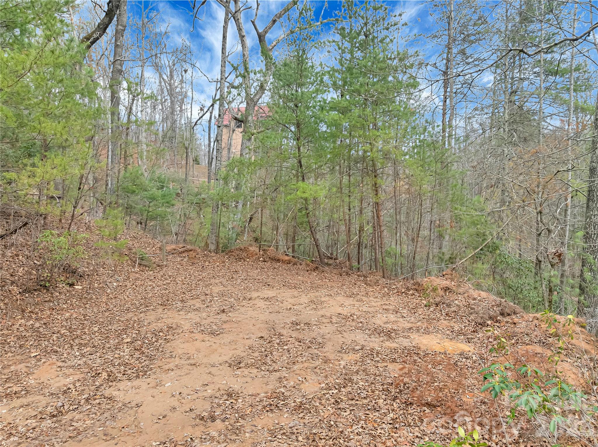 Piney Mountain - Land