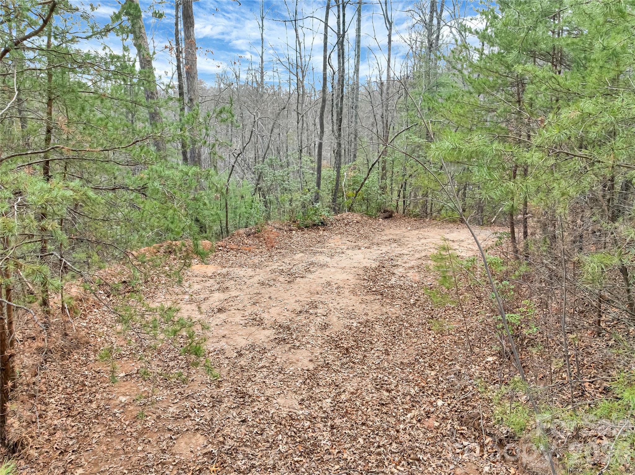 Piney Mountain - Land