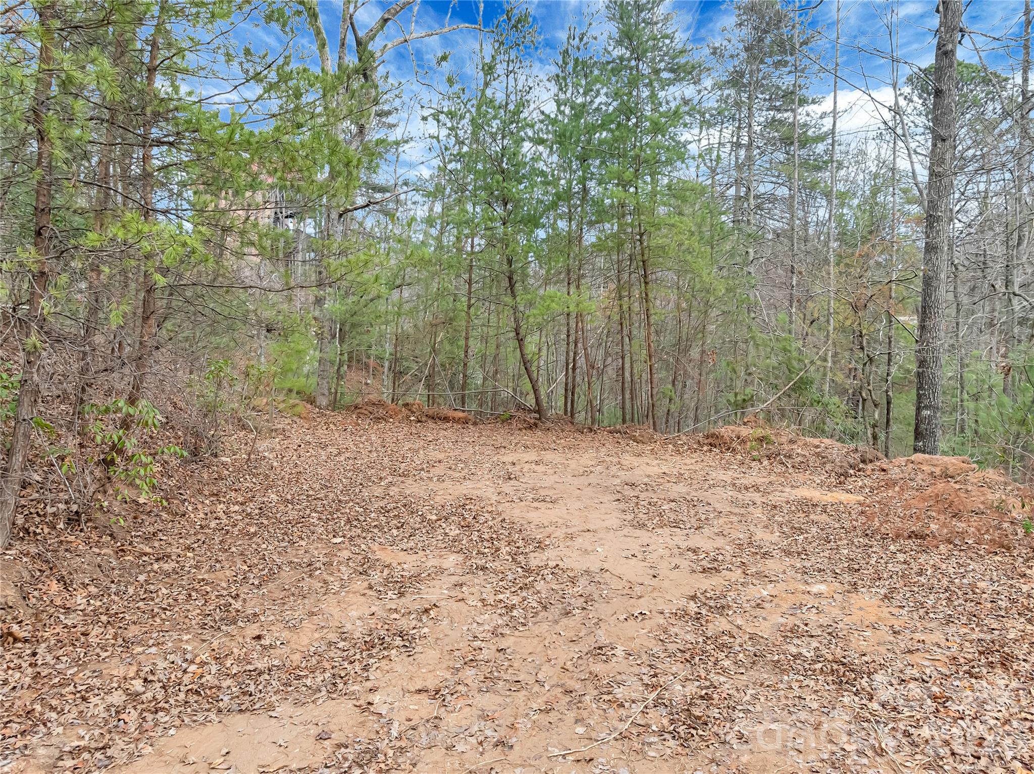 Piney Mountain - Land