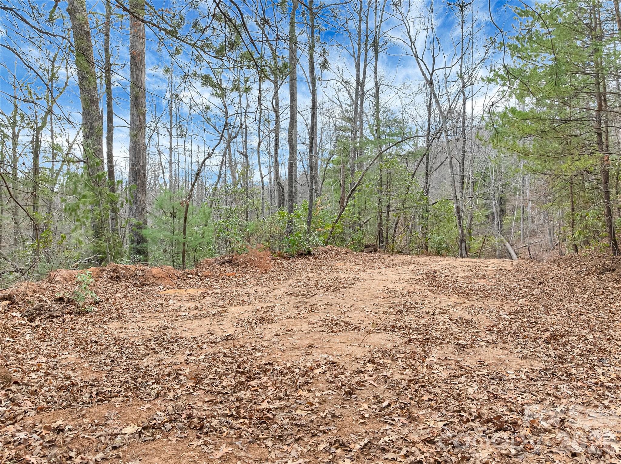 Piney Mountain - Land