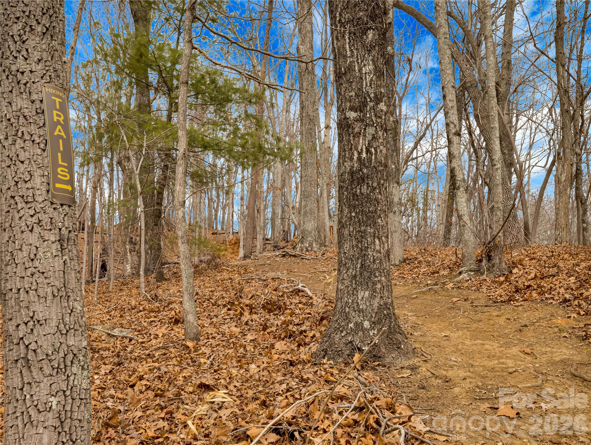 Piney Mountain - Land