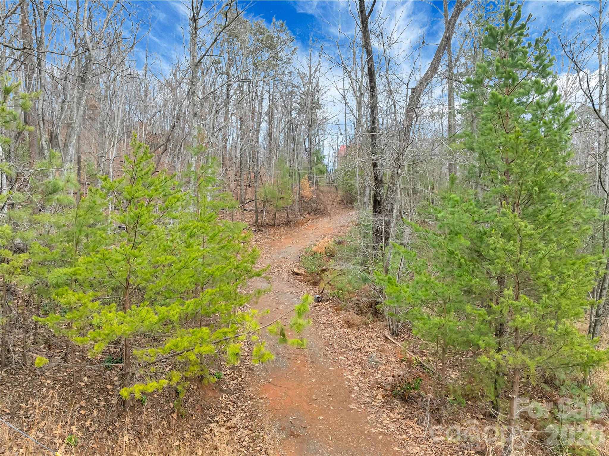 Piney Mountain - Land