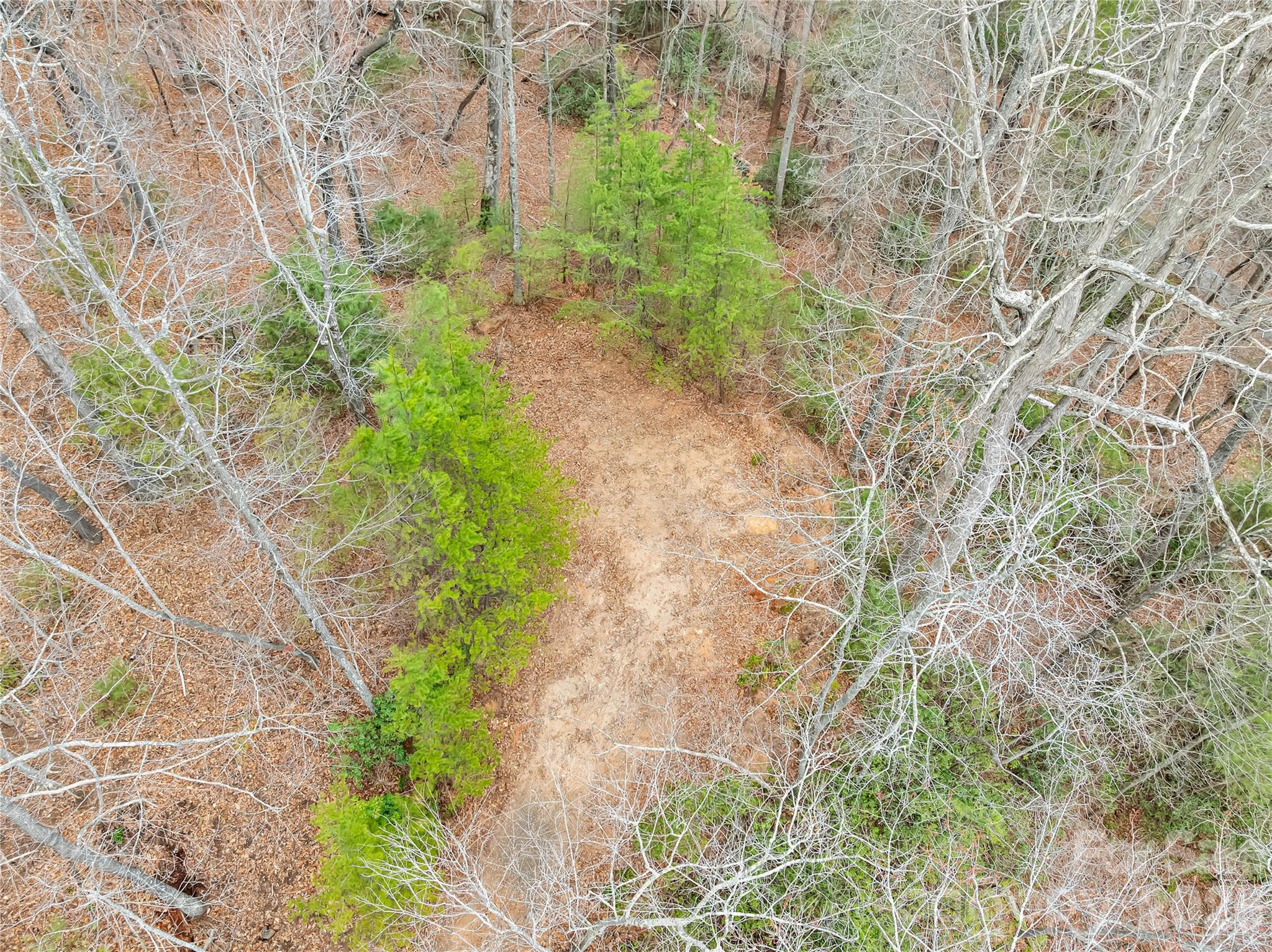 Piney Mountain - Land