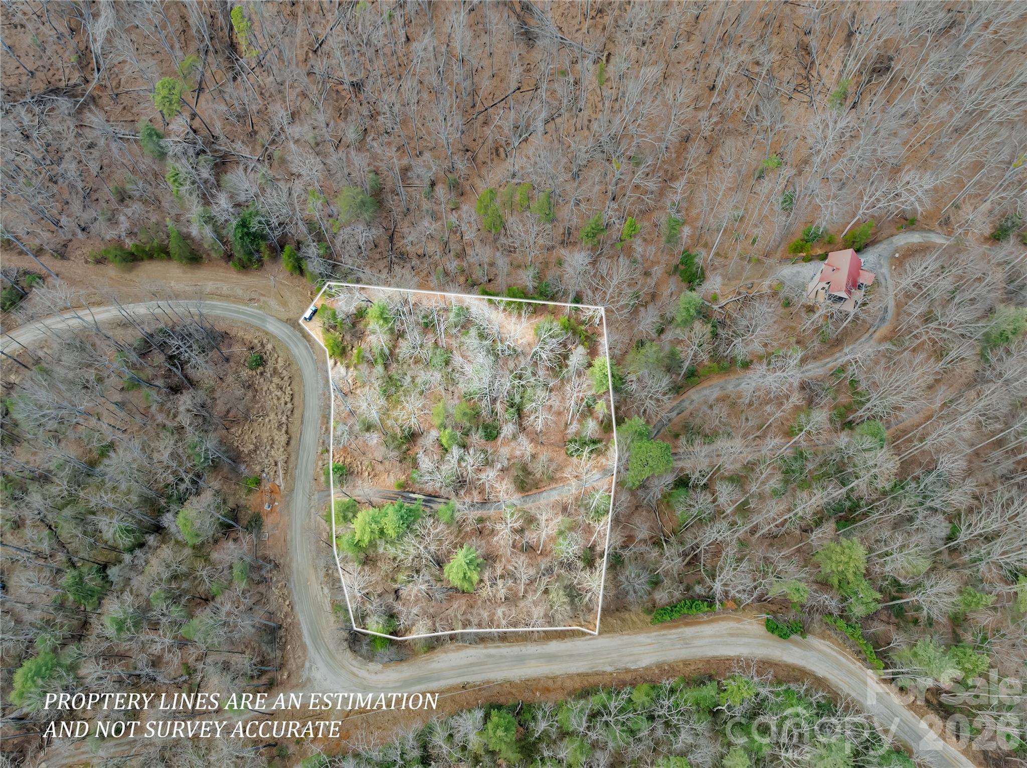 Piney Mountain - Land