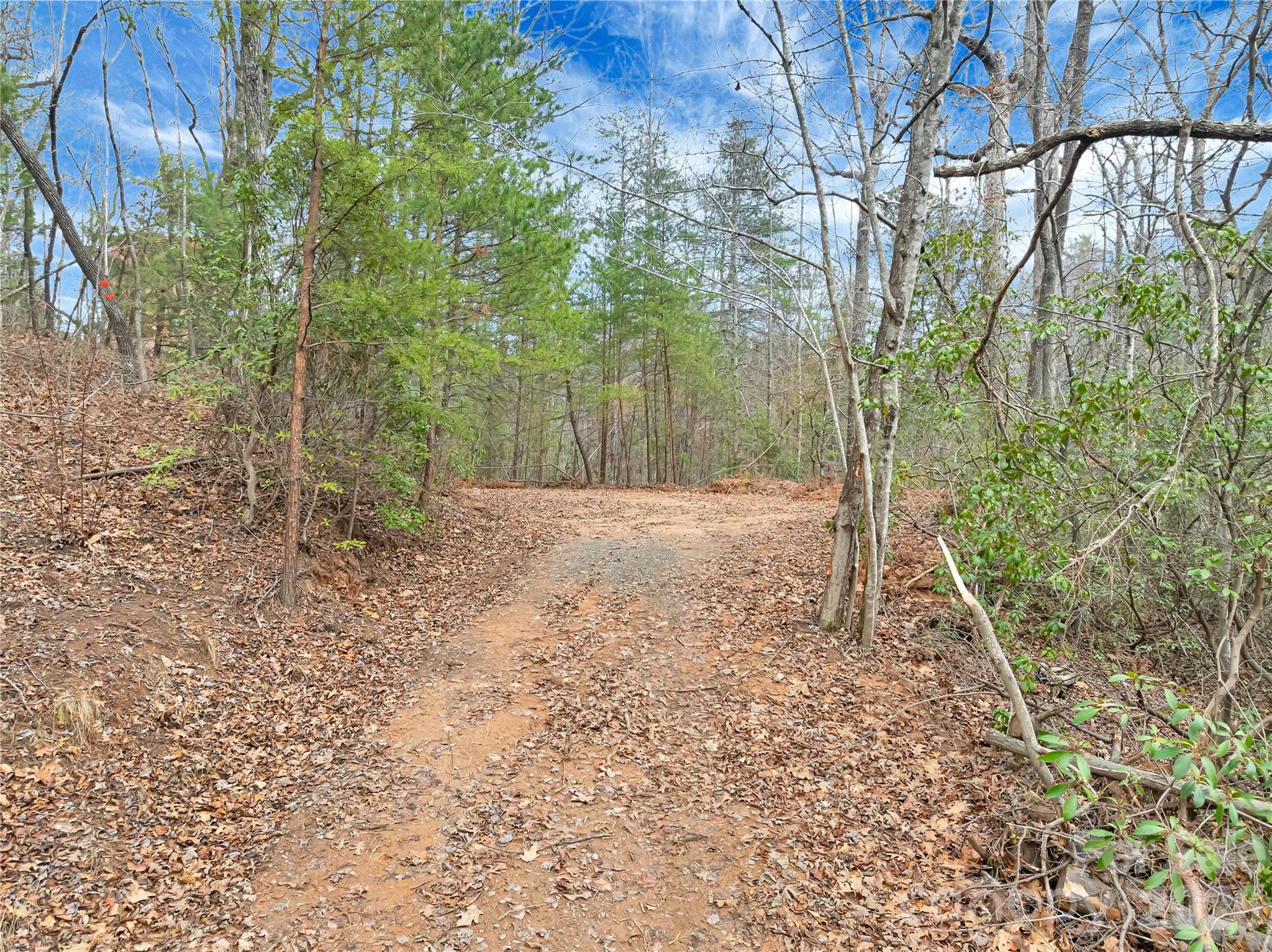 Tucked away in the desirable Piney Mountain community of Saluda, this wooded lot adjoins the North Carolina Green River Game Lands.  Hike 2 minutes from your back yard to the established trail at the top of the Ridge!  The lot has a driveway cut in, a cleared homesite, (a septic is needed). The lot has access to the community water system, a savings of approximately $15K -$20K. HOA fee is $500 per year until you build, then $1,000 per year.  HOA benefits include water, trash pickup, and road maintenance. You are allowed to bring a recreational vehicle or camper and camp out temporarily on your property.  Perfect for a vacation getaway or permanent residence. Offering the kind of peaceful solitude that is genuinely hard to find.  Piney Mountain is a private, secure, and friendly community surrounded by more than 18,000 acres of Game Lands, a nature-lover's dream with endless opportunities for hiking, biking, kayaking, and fishing. Occasional wildlife sightings come with the territory. 
Just minutes from The Gorge Zipline, Little Bradley Falls, and only a short drive to historic downtown Saluda for shopping, dining, and entertainment. Centrally located within easy reach of downtown Hendersonville, the Asheville Airport area, and approximately 35 minutes to Greenville/Spartanburg, SC.  Stop searching and start building or camping. This is your chance to get exactly what you want in the mountains.