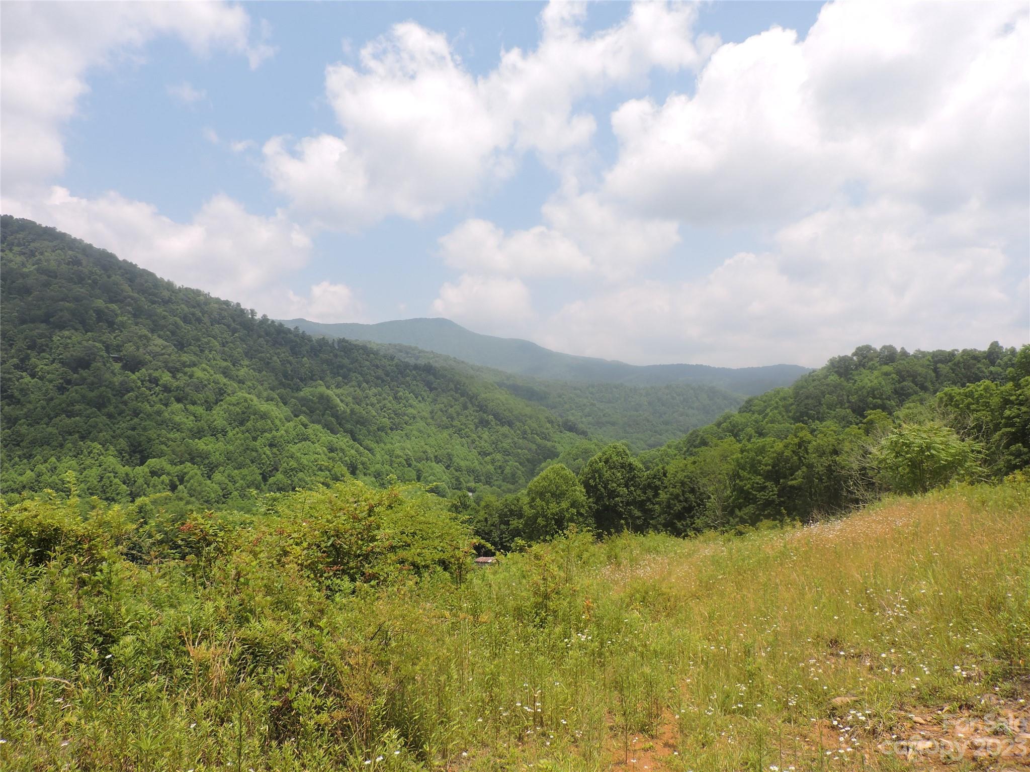 PRICE REDUCED! This Beautiful Useful Mountain Land! Nearly 50 acres of open pasture, and wooded land! This property includes a beautiful stream , and a small pond. This property has a gentle slope, and many building sites for your dream home or 2nd home! This could be subdivided, or used for just recreational purposes! This land is unrestricted , so your imagination is the only thing holding you back! This property is located on the west side of Burnsville, and about 15 minutes to town, and about 40 minutes to Ashevillle! This type of acreage does not come along very often.  This property will meet all your needs and checkmarks! A must see.