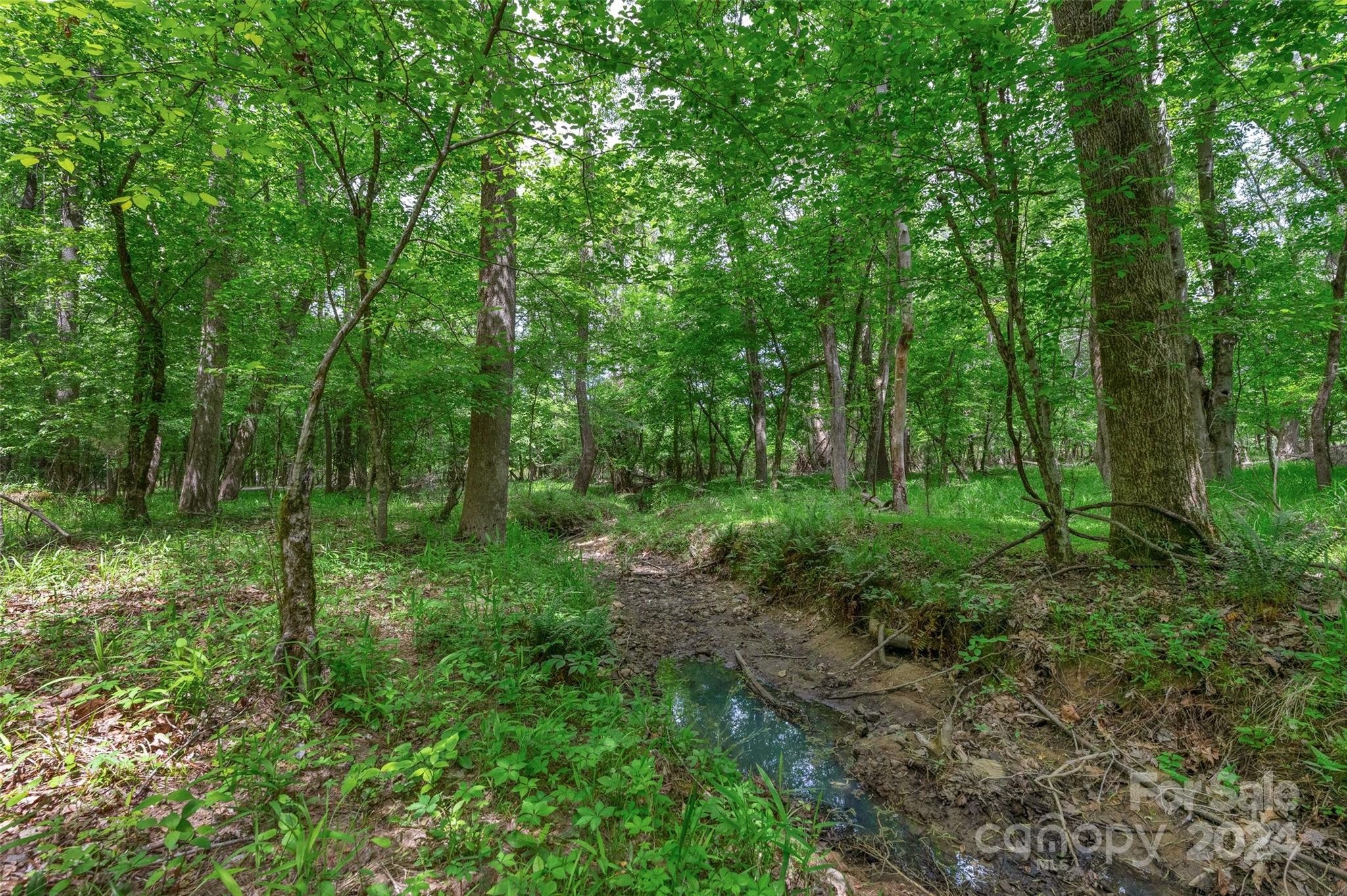 Waterfront at the back of the cove! Large homestead and Recreational Property! This 188.51 acres of land is a perfect place for your custom home and recreational property. Right next door to Lake Wateree Boat Ramp, Carolina Adventure World, Rattlesnake Bike Park, and the Great Falls Whitewater Center. Conveniently located directly on HWY 21, this property is minutes away from I-77, 45 Min to Charlotte, Very close to Fort Mill, Rock Hill, and York. Close access to Lake Wateree and the other lakes / Catawba River. The uses of this land are endless; Pursue building your dream home, use this land for agricultural purposes, micro-farming, & recreational activities. A hunters paradise; loaded with deer, turkey, and small game, there are also an abundance of ducks. Paddlesports and small boats are welcome. There are multiple beautiful creeks that flow through the property. Subject to a completed survey. More land available for sale. More info available, Contact listing agent for more info.