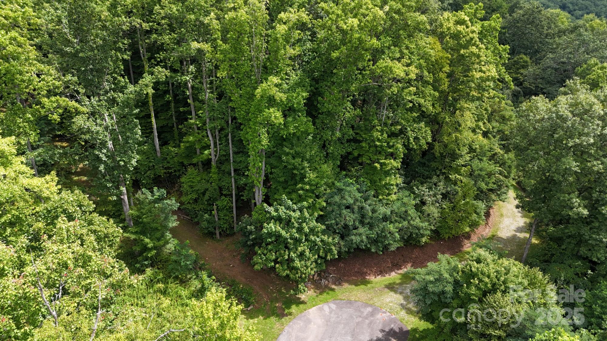Mountain Watch - Land