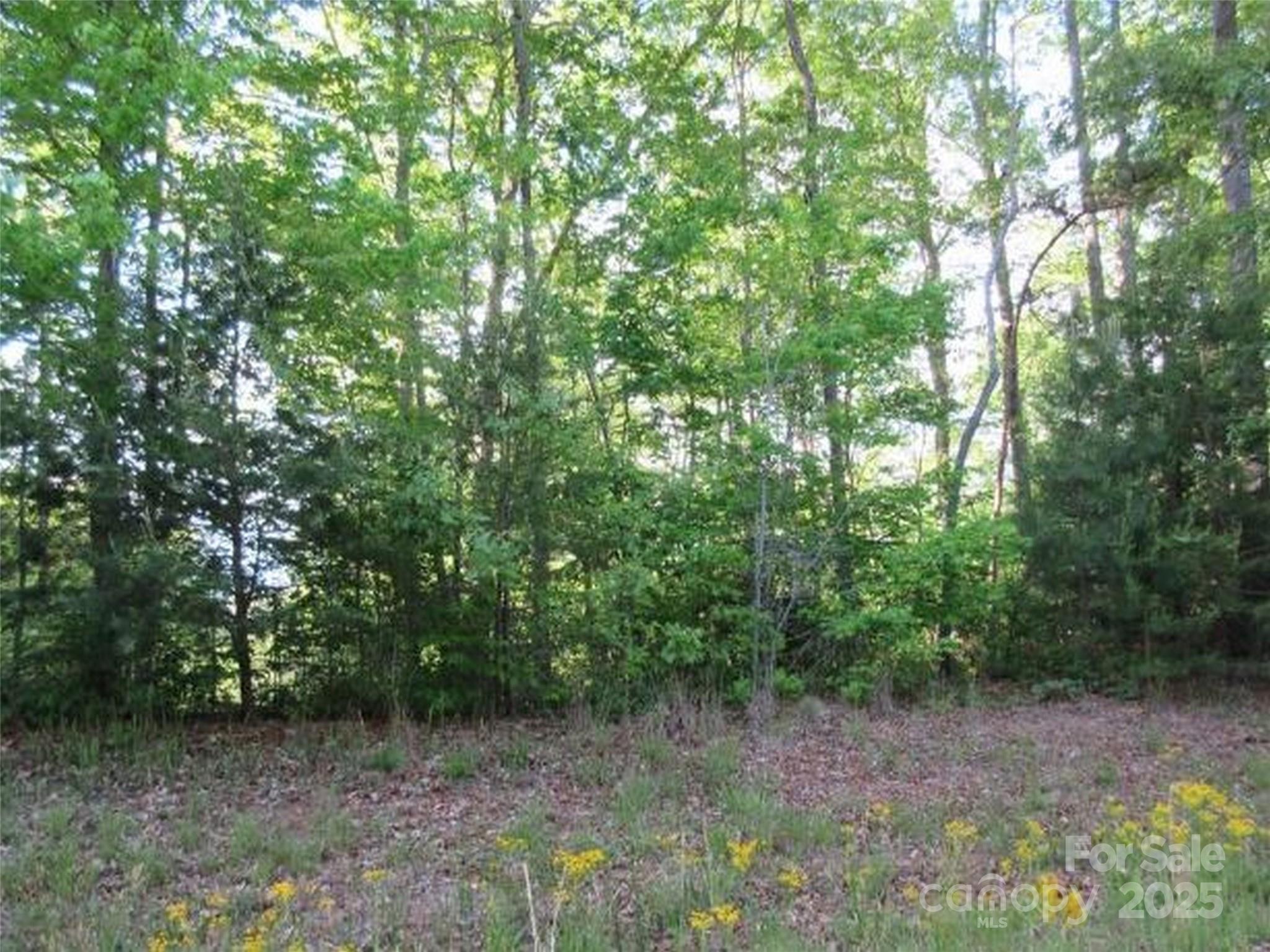Mountain Laurel Estates - Land
