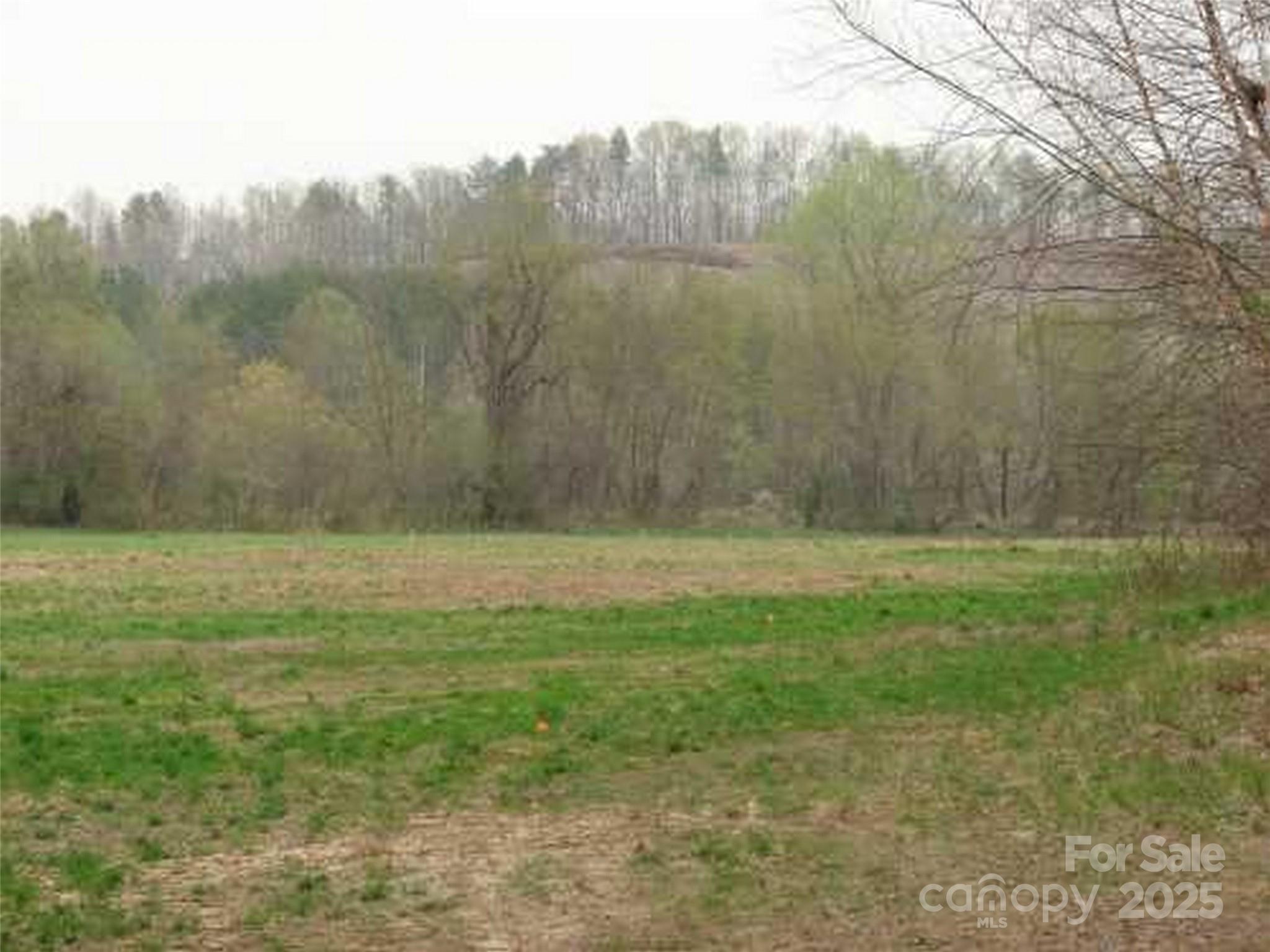 Mountain Laurel Estates - Land