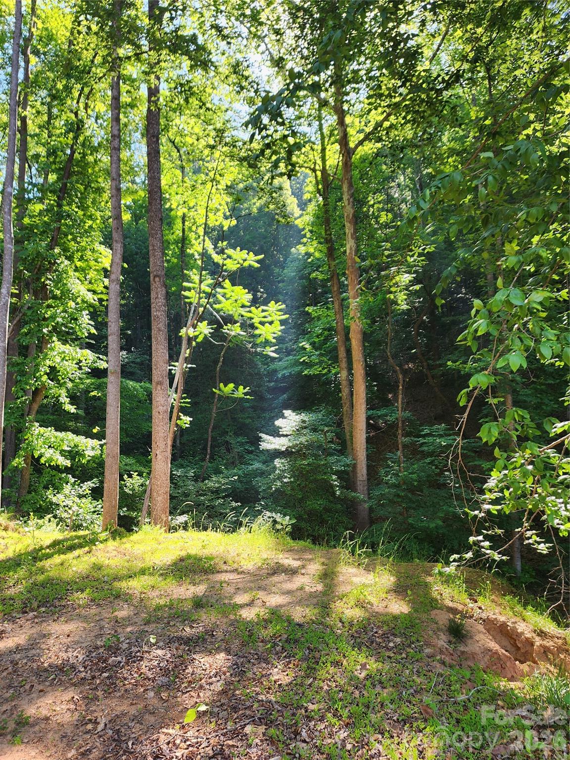 Located in the beautiful Sugarloaf community of Alexander County, this ±8.1 acre wooded retreat offers the a mix of privacy, adventure, and opportunity. Featuring two tax parcels, this acreage is improved with a gated driveway and graded homesite, giving you a head start on building your dream cabin, mountain getaway, or forever home.

Explore the established trails winding through the mountainside to the top of the ridge, where breathtaking views and unforgettable wildlife moments await — including the spot where the featured bear photos were taken. Deer, turkey, and abundant natural beauty make this a true outdoor paradise. Whether you’re searching for hunting land, a private homesite, or simply a peaceful escape in the woods, this property delivers the seclusion and mountain lifestyle you’ve been looking for.

If you’ve been dreaming of owning your own slice of the North Carolina foothills, this could be the land for you.