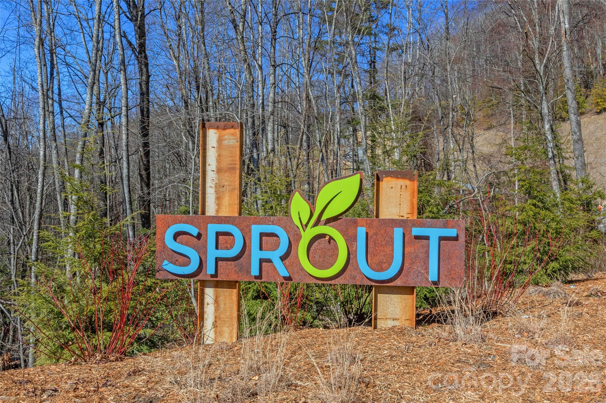 Sprout - Land