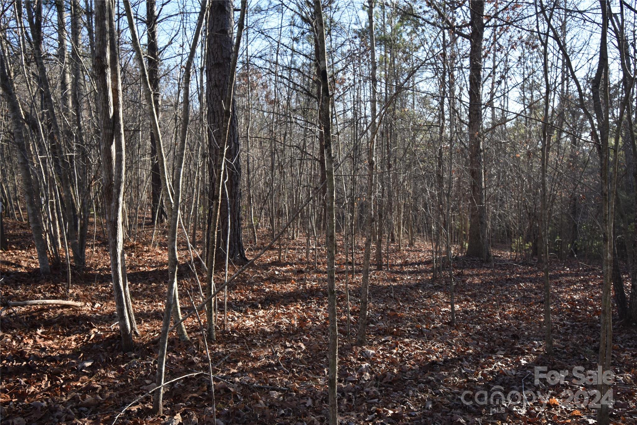 Blackberry Creek - Land