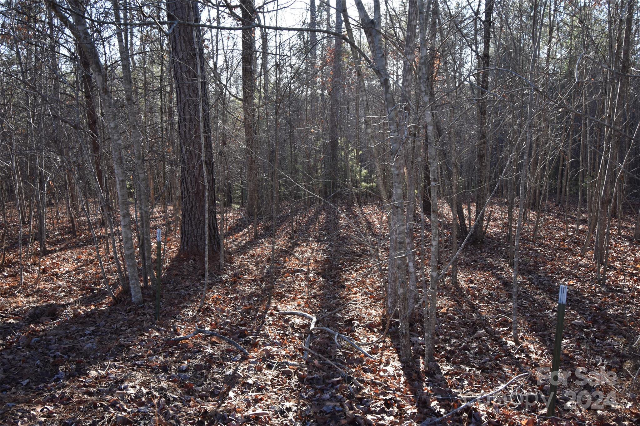 Blackberry Creek - Land