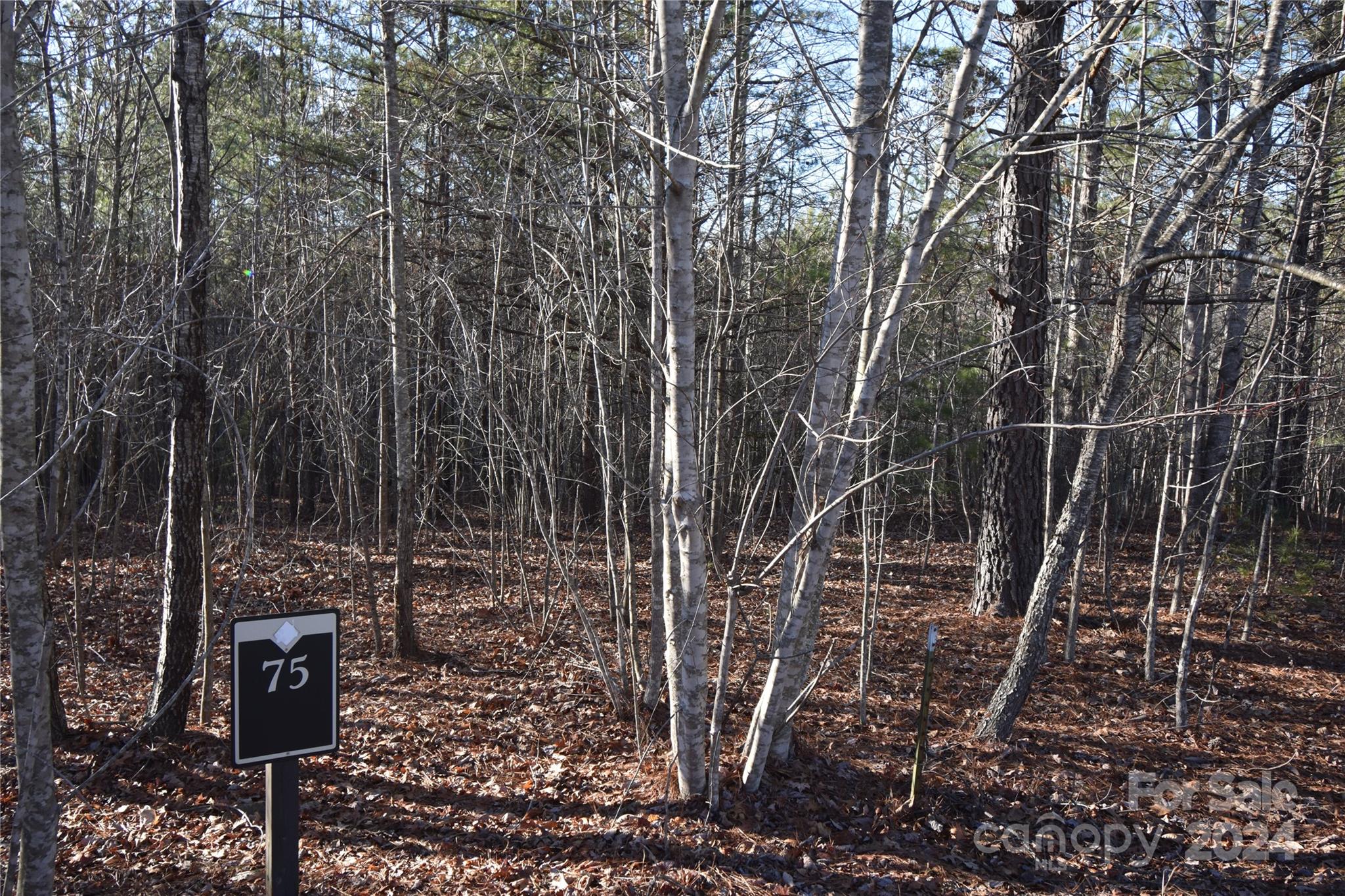 Blackberry Creek - Land