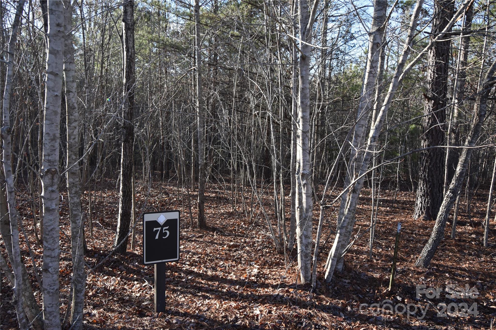 Located in the gated Blackberry Creek subdivision, this beautiful 3± acre wooded lot sits at the end of a quiet cul-de-sac in the mountains of McDowell County. The property offers a gentle slope to the rear, making it an excellent site for a new construction home. Enjoy a peaceful, nature-filled setting with frequent sightings of deer, wild turkeys, and other local wildlife. Just minutes from I-40 and Lake James State Park, this location offers both convenience and privacy. A minimum 1,400 heated square foot site-built home is required. Well and septic will be needed, and Rutherford Electric is available at the street. Seller may consider some owner financing with an acceptable offer. Buyers must be accompanied by a licensed agent when viewing the property. This is a great opportunity to build your dream home in a serene mountain community. Call today for more details.