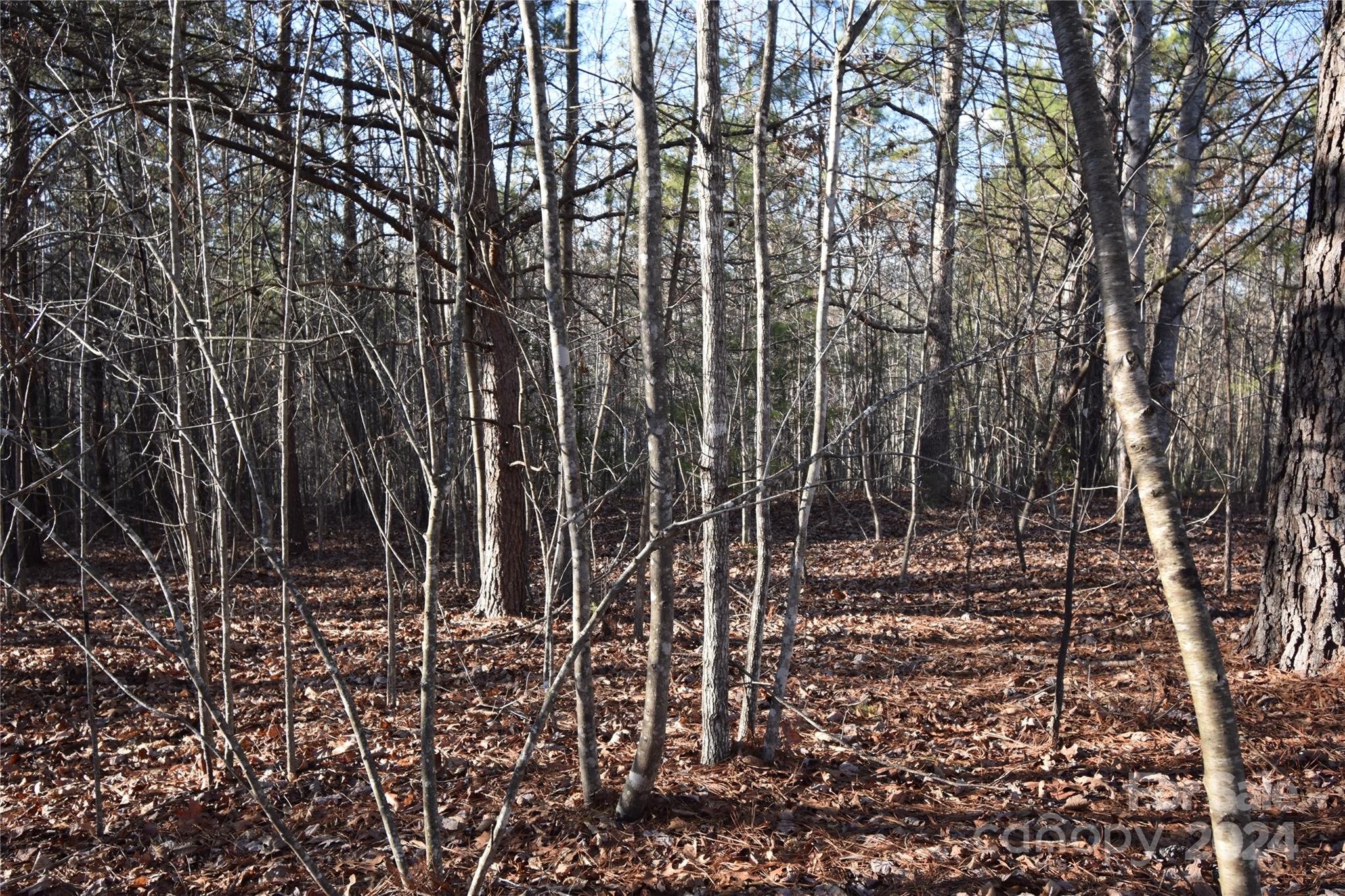 Blackberry Creek - Land