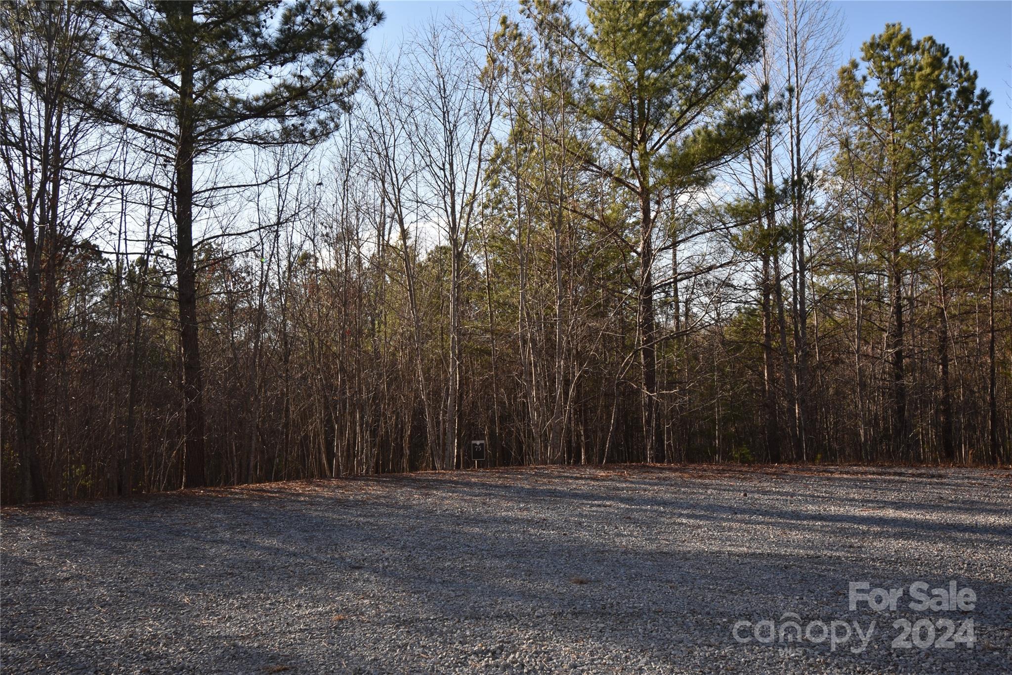 Blackberry Creek - Land