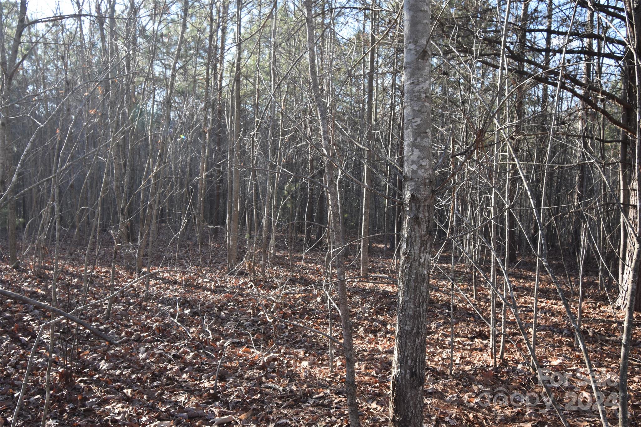 Blackberry Creek - Land