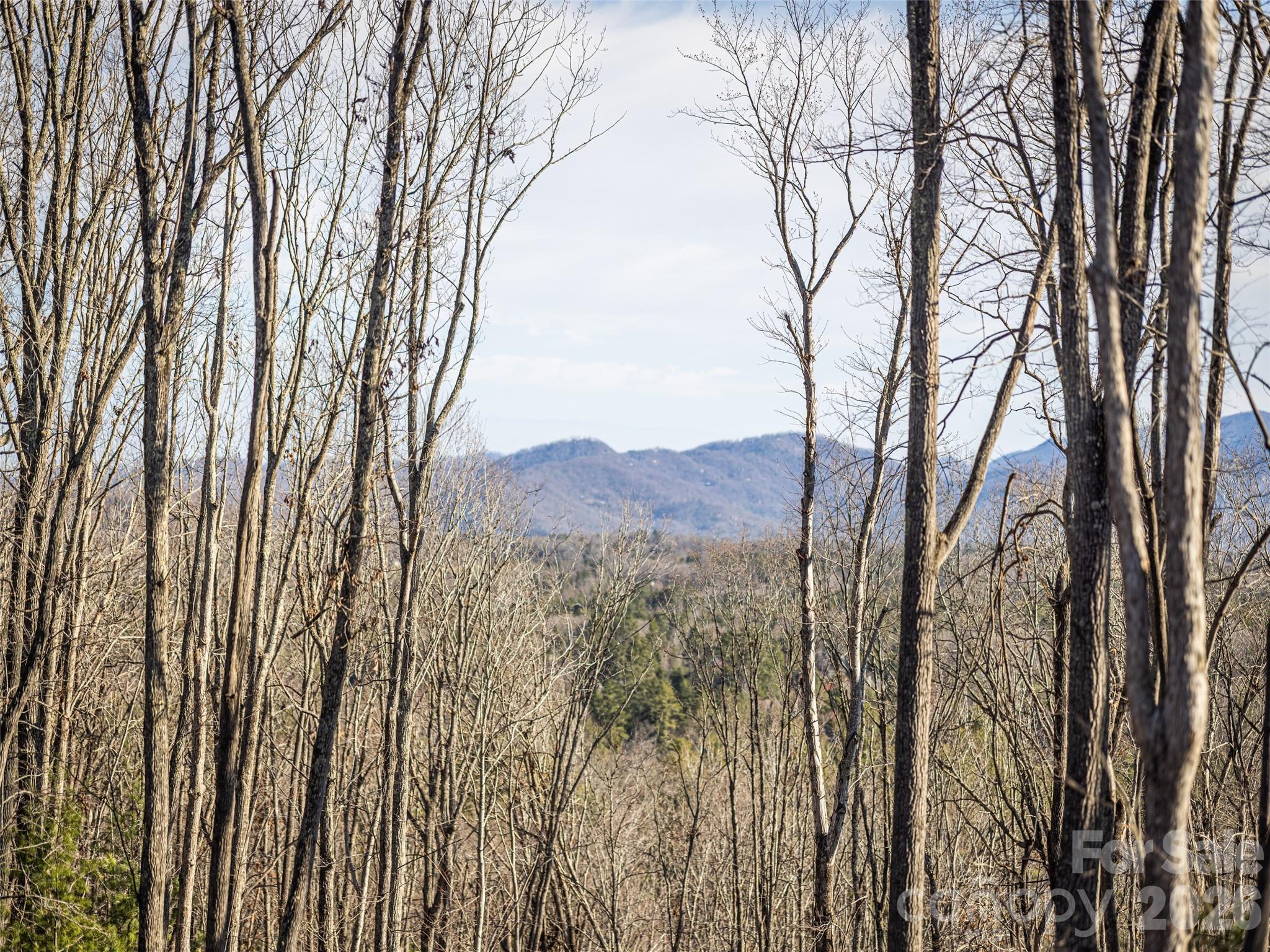 Ramble Biltmore Forest - Land