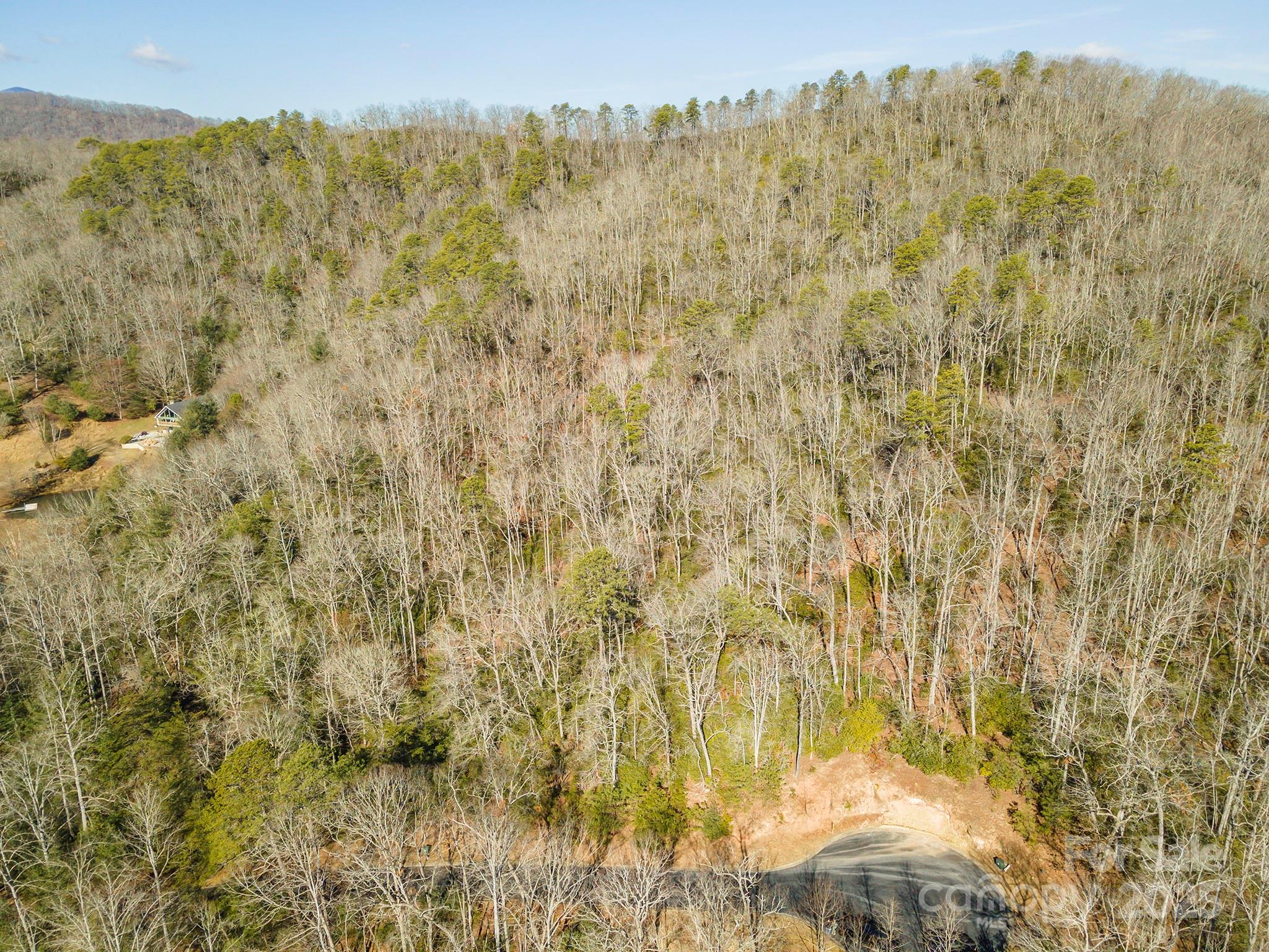 Homestead at Mills River - Land