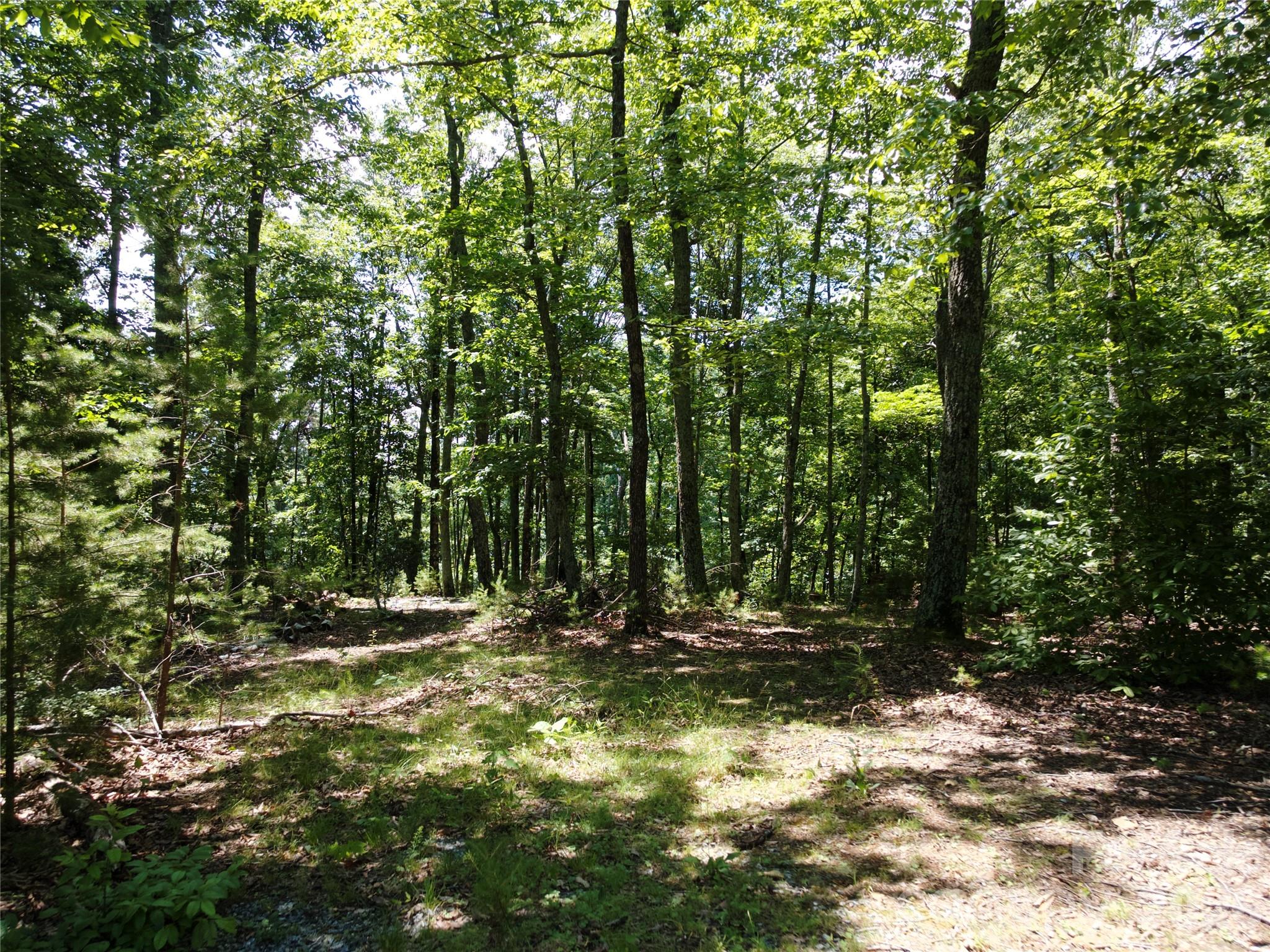 Golden Valley Estates - Land