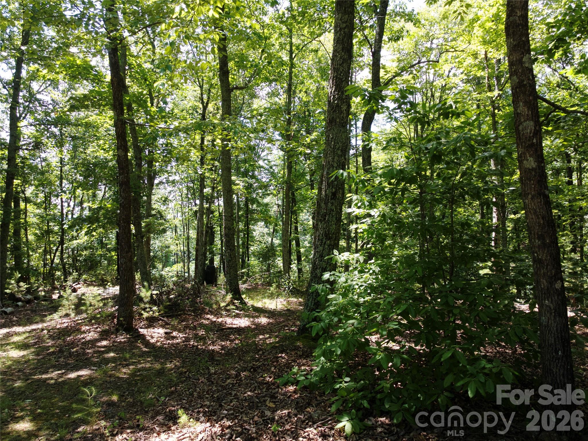 Golden Valley Estates - Land