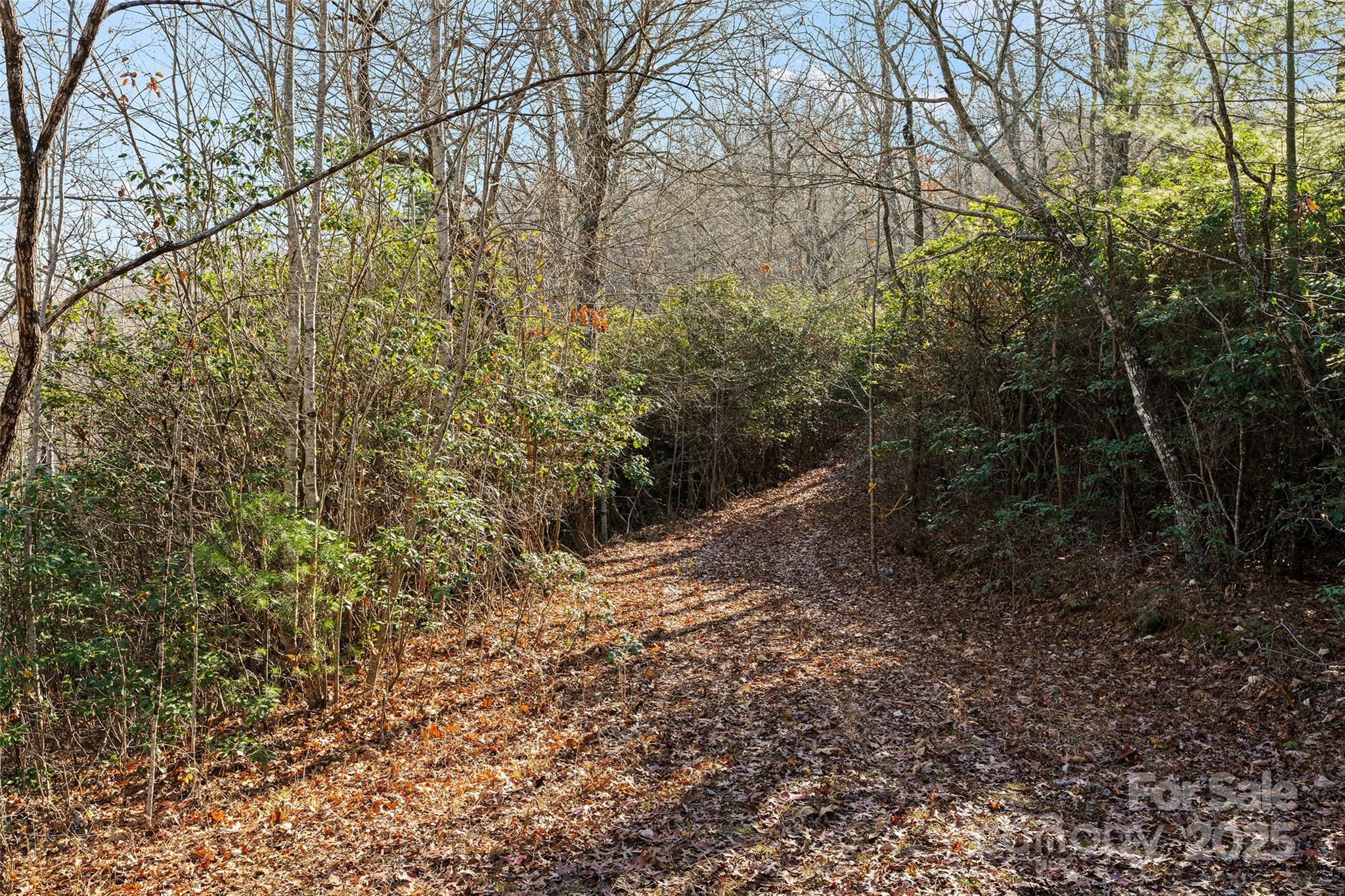 Hemlock Falls - Land