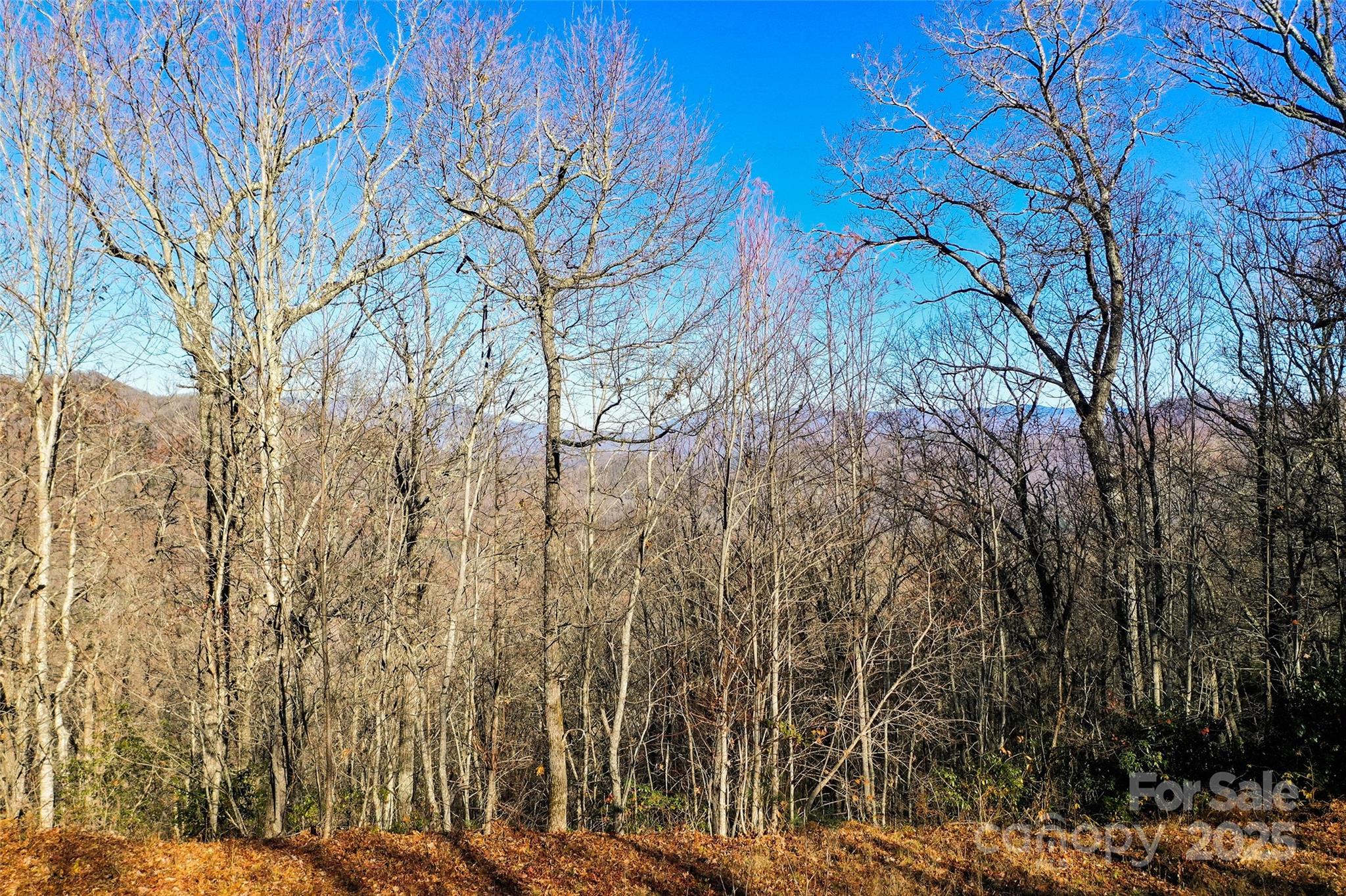 Hemlock Falls - Land