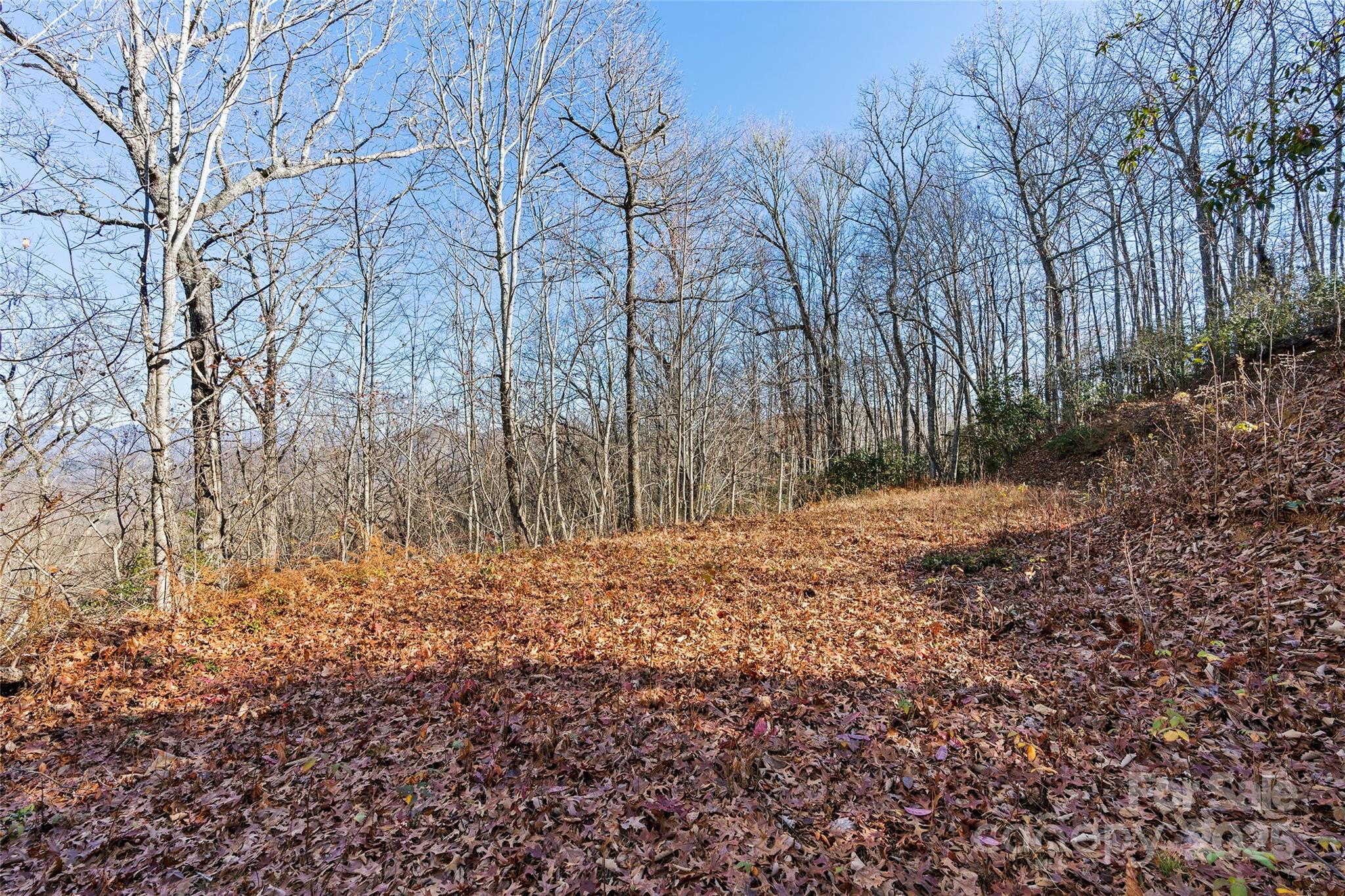 Hemlock Falls - Land