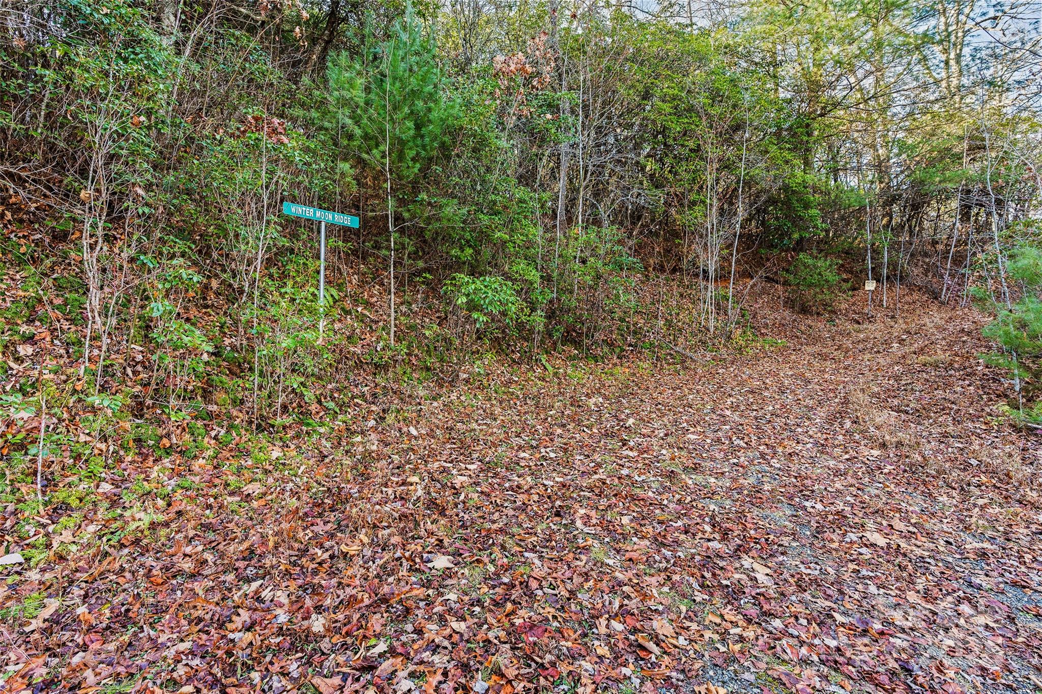 Hemlock Falls - Land