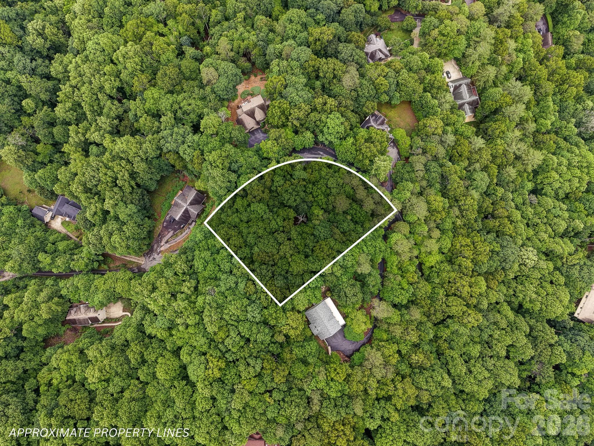 Exceptional homesite located in the desirable gated community of High Vista, offering the perfect setting to build your dream mountain retreat or year-round residence. This gently elevated lot features beautiful natural surroundings and the potential for mountain views, creating a peaceful backdrop while remaining conveniently located between Asheville and Hendersonville.

Residents enjoy access to community amenities including a playground, basketball court, and pavilion, with optional club membership opportunities providing access to golf, swimming, tennis, pickleball, dining, and clubhouse facilities. A rare opportunity to create a custom home in one of Western North Carolina's most sought-after mountain communities.
