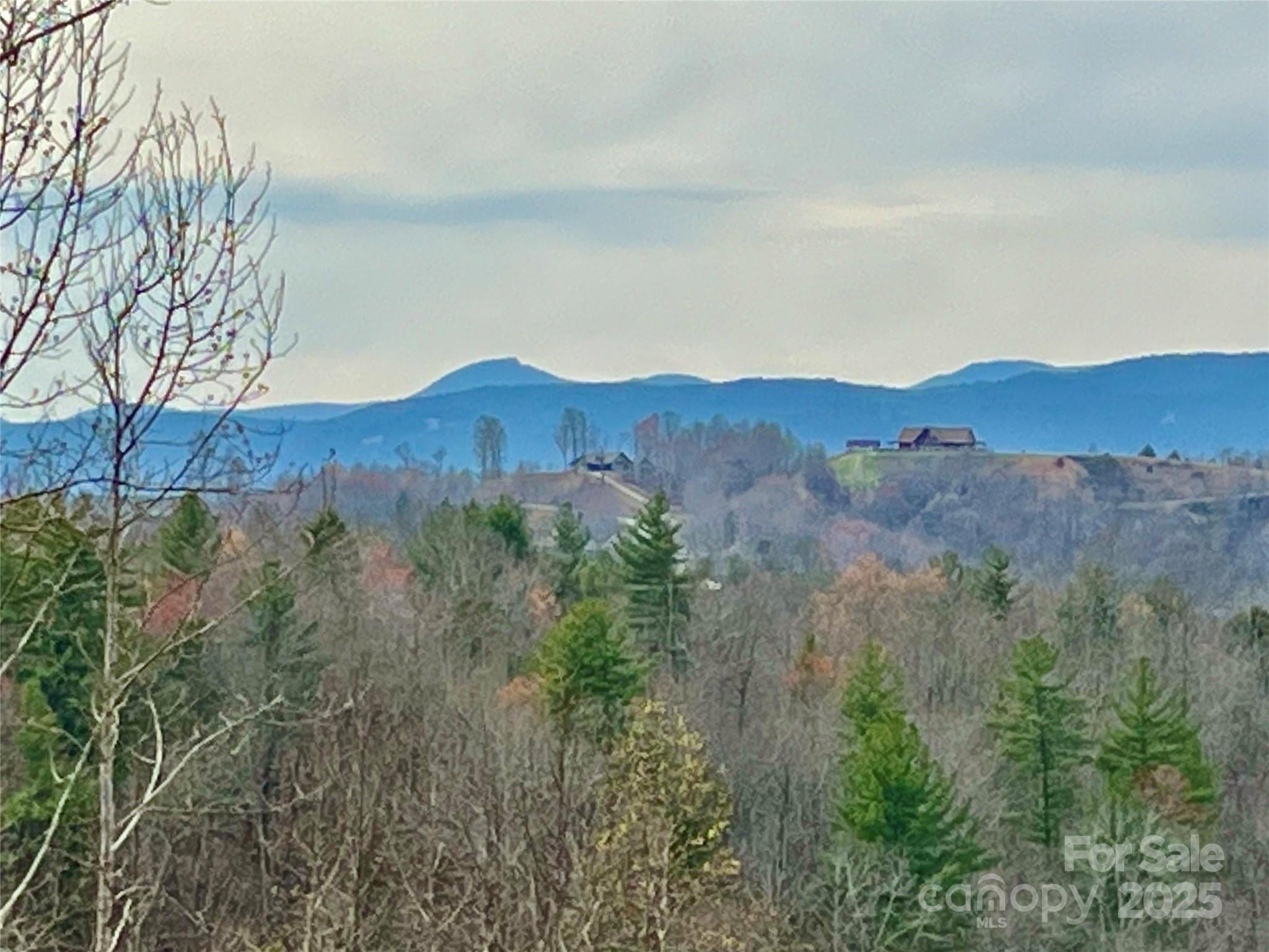 The Coves Mountain River Club - Land