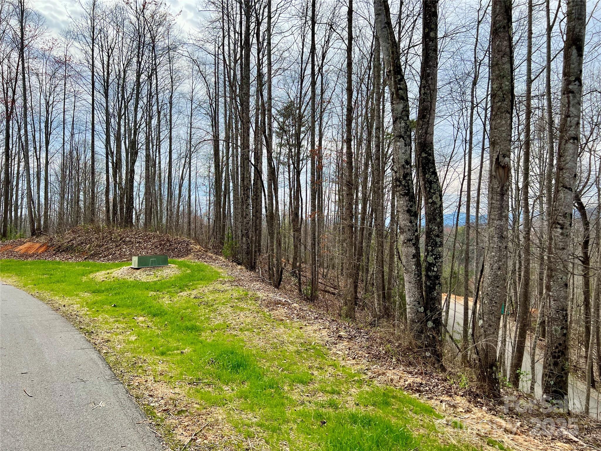 The Coves Mountain River Club - Land