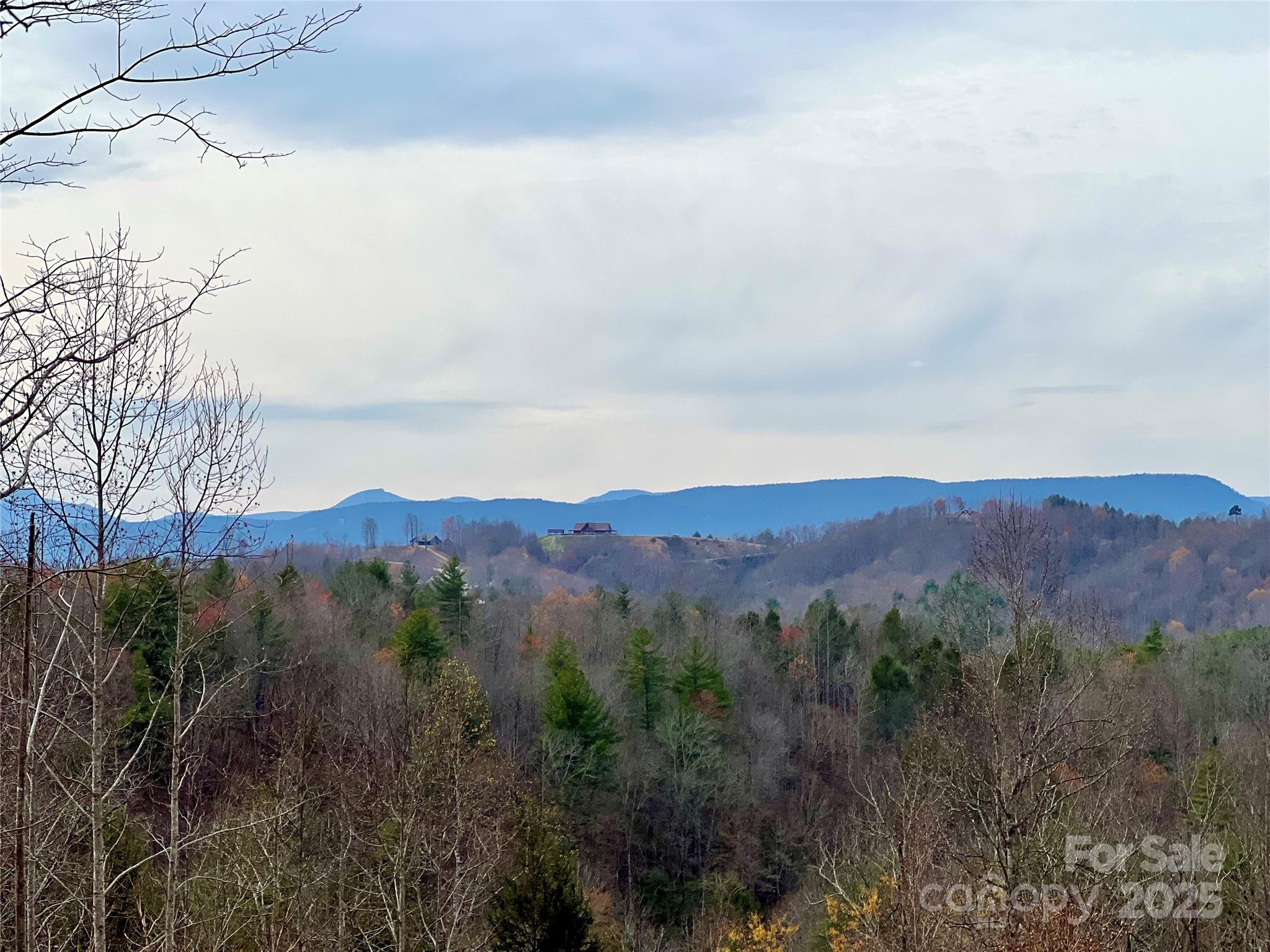 The Coves Mountain River Club - Land